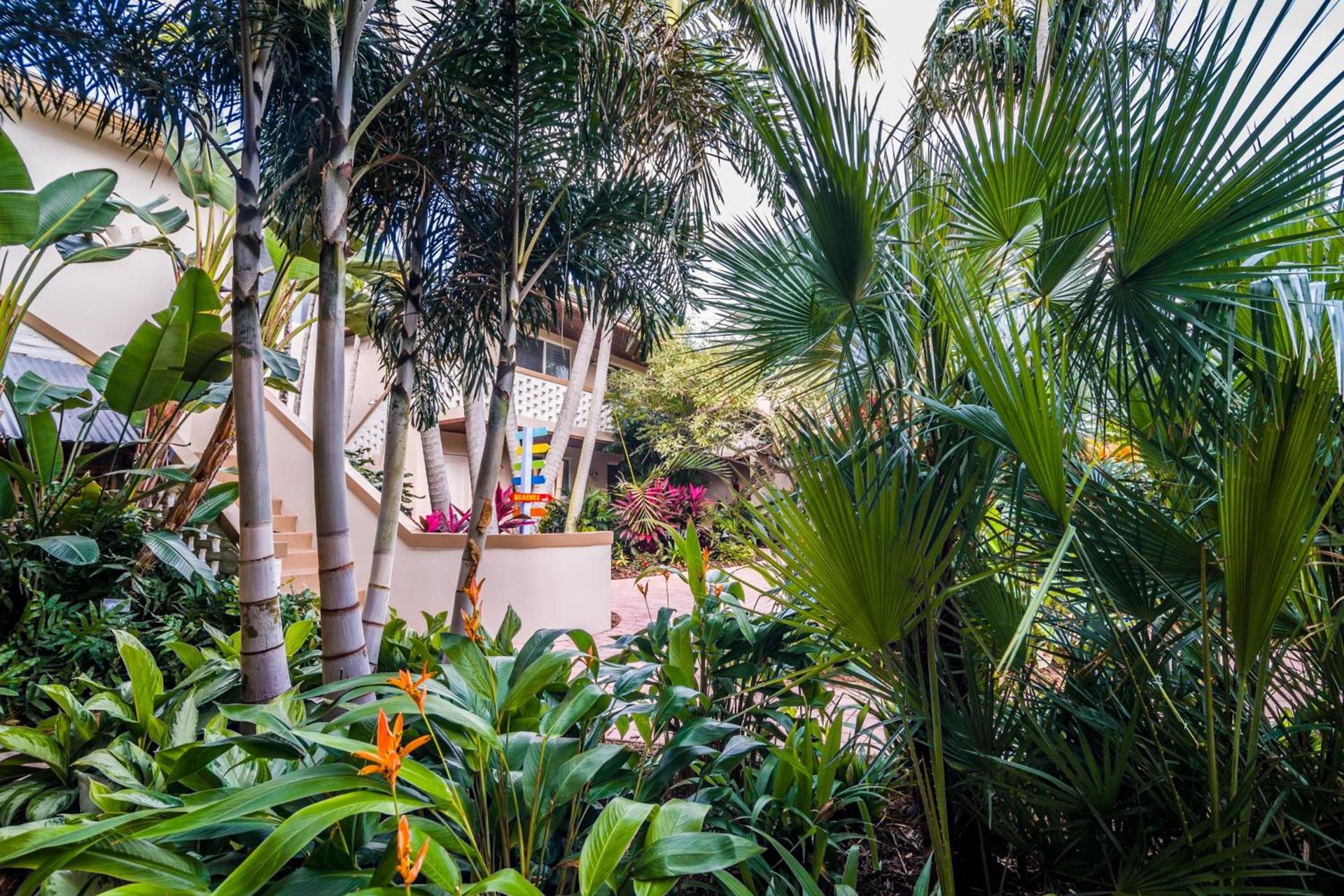Crane's Beach House Boutique Hotel & Luxury Villas photo 55