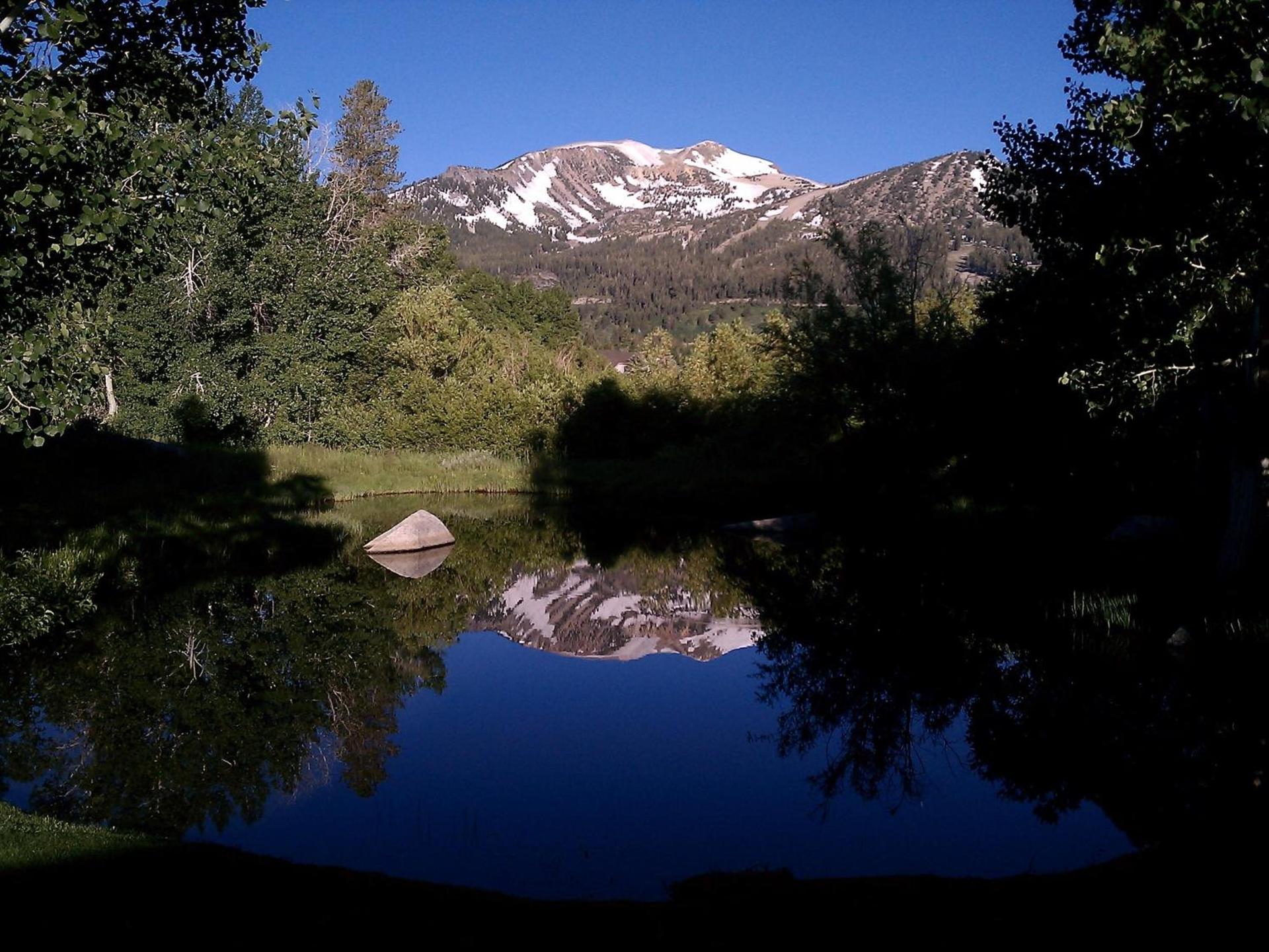 Snowcreek Resort Vacation Rentals photo 3
