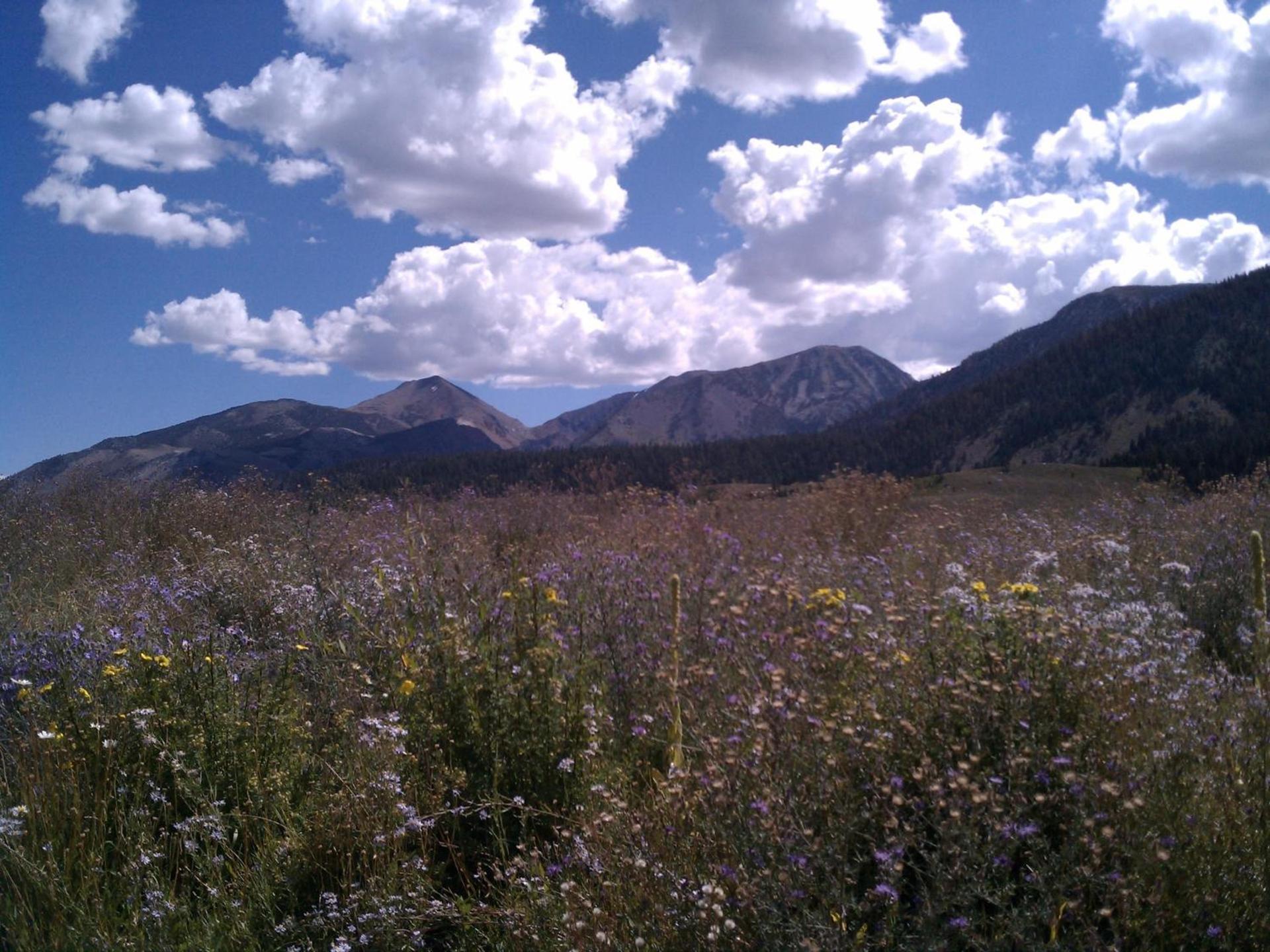 Snowcreek Resort Vacation Rentals photo 12