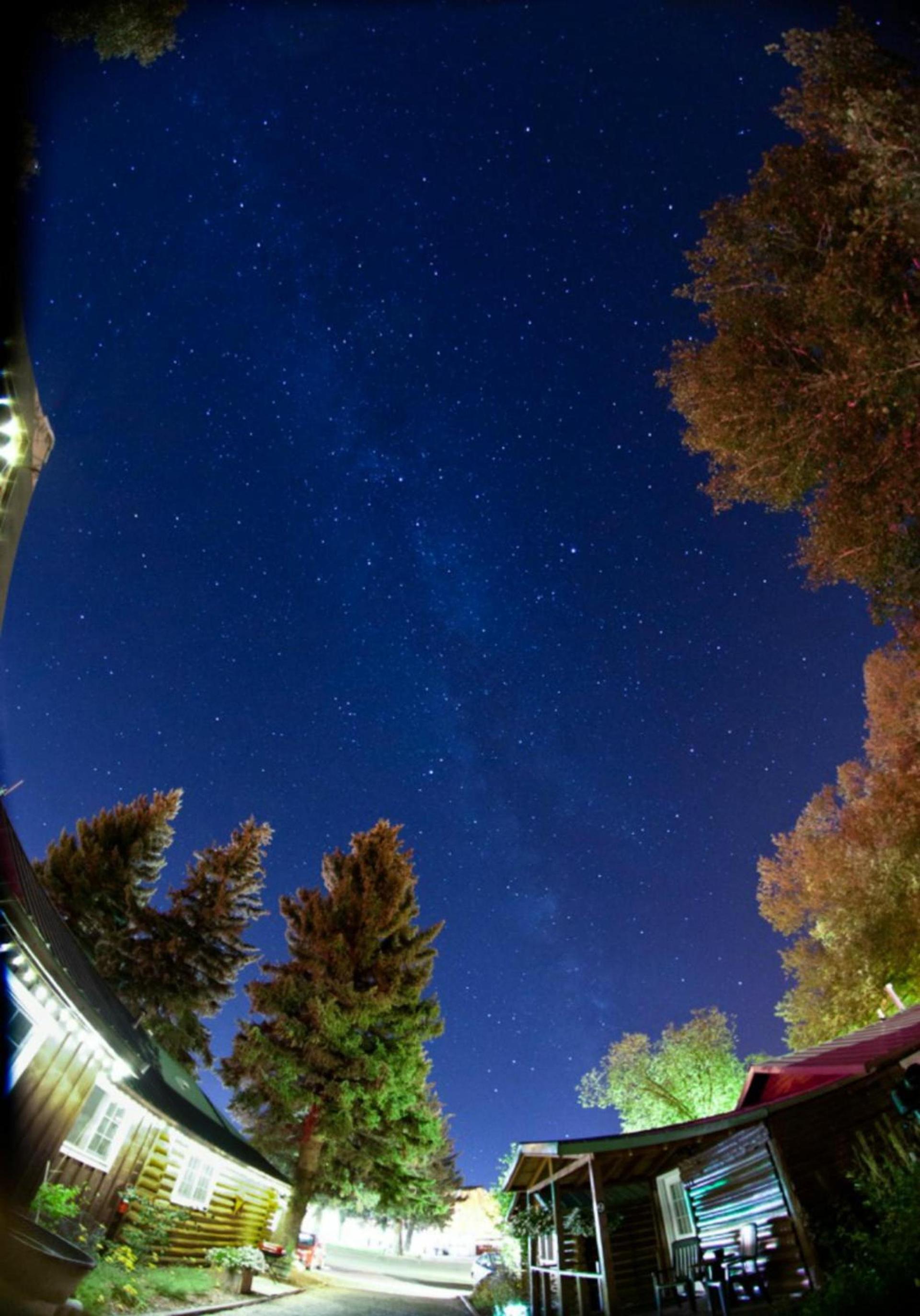 Log Cabin Motel photo 12