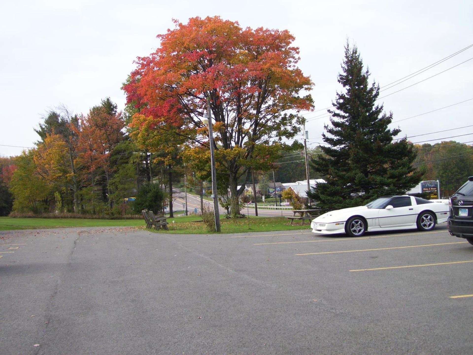 The Garrett Inn photo 27