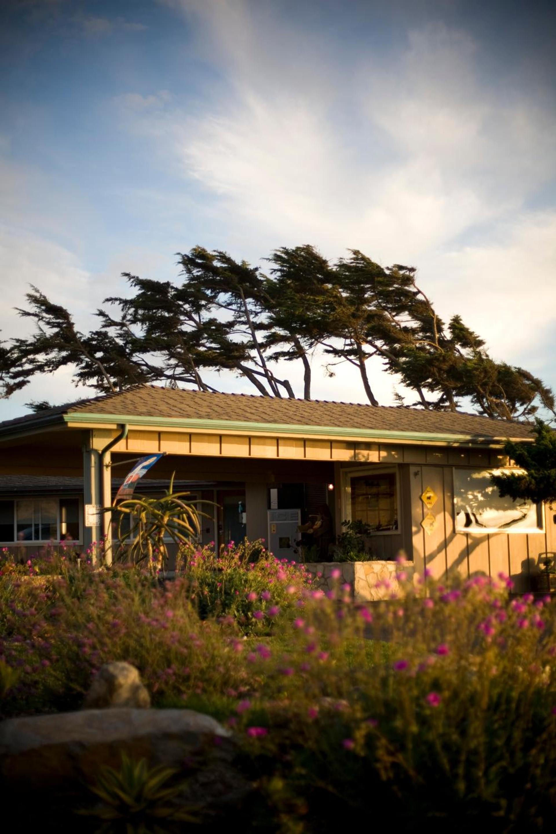 Cambria Shores Inn photo 69