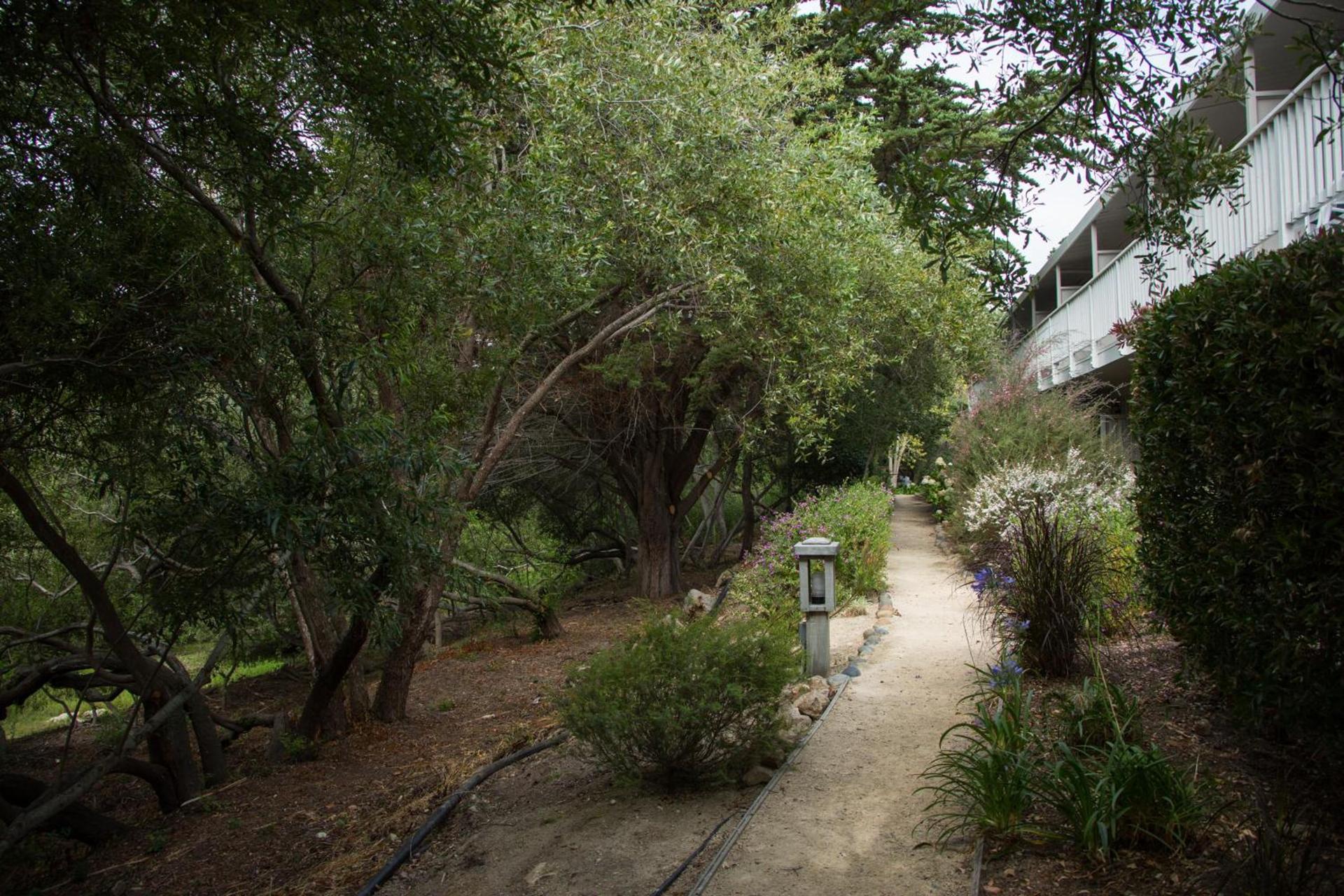 Carmel River Inn & Cottages photo 54