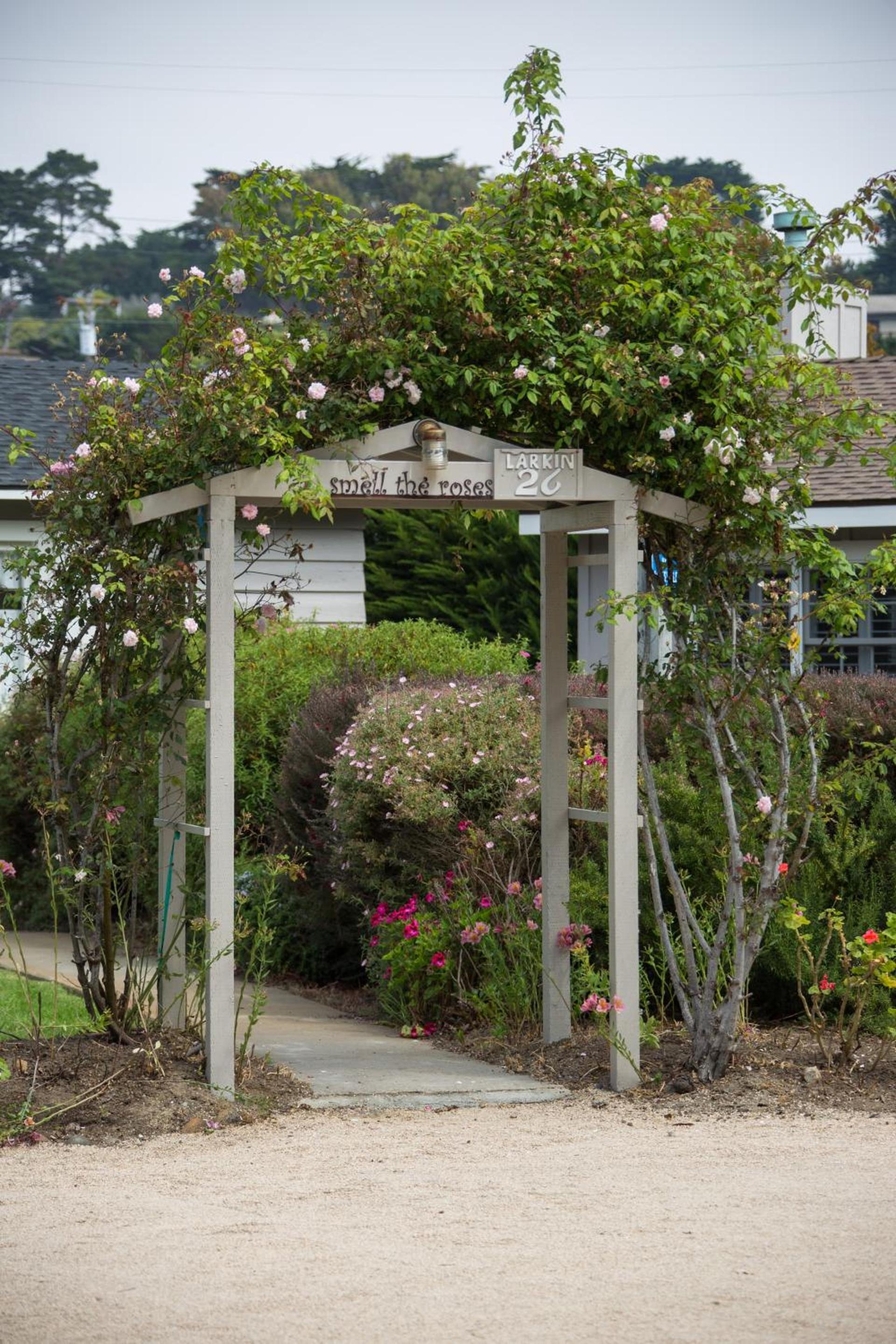 Carmel River Inn & Cottages photo 57