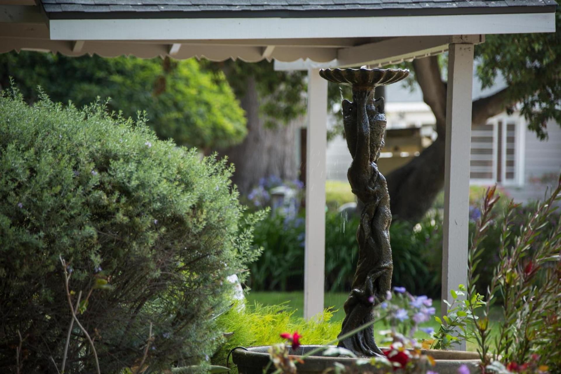 Carmel River Inn & Cottages photo 61