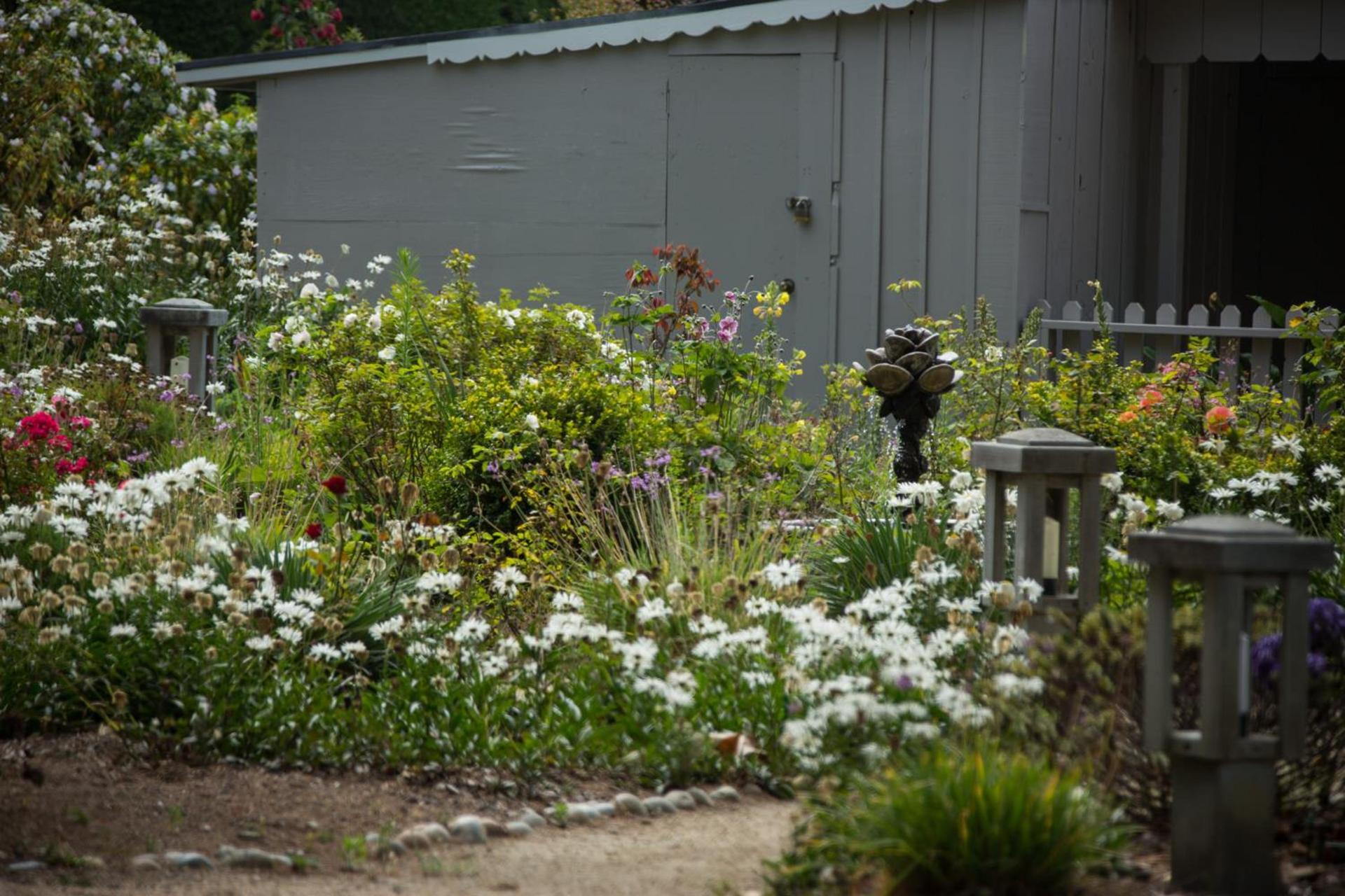 Carmel River Inn & Cottages photo 32