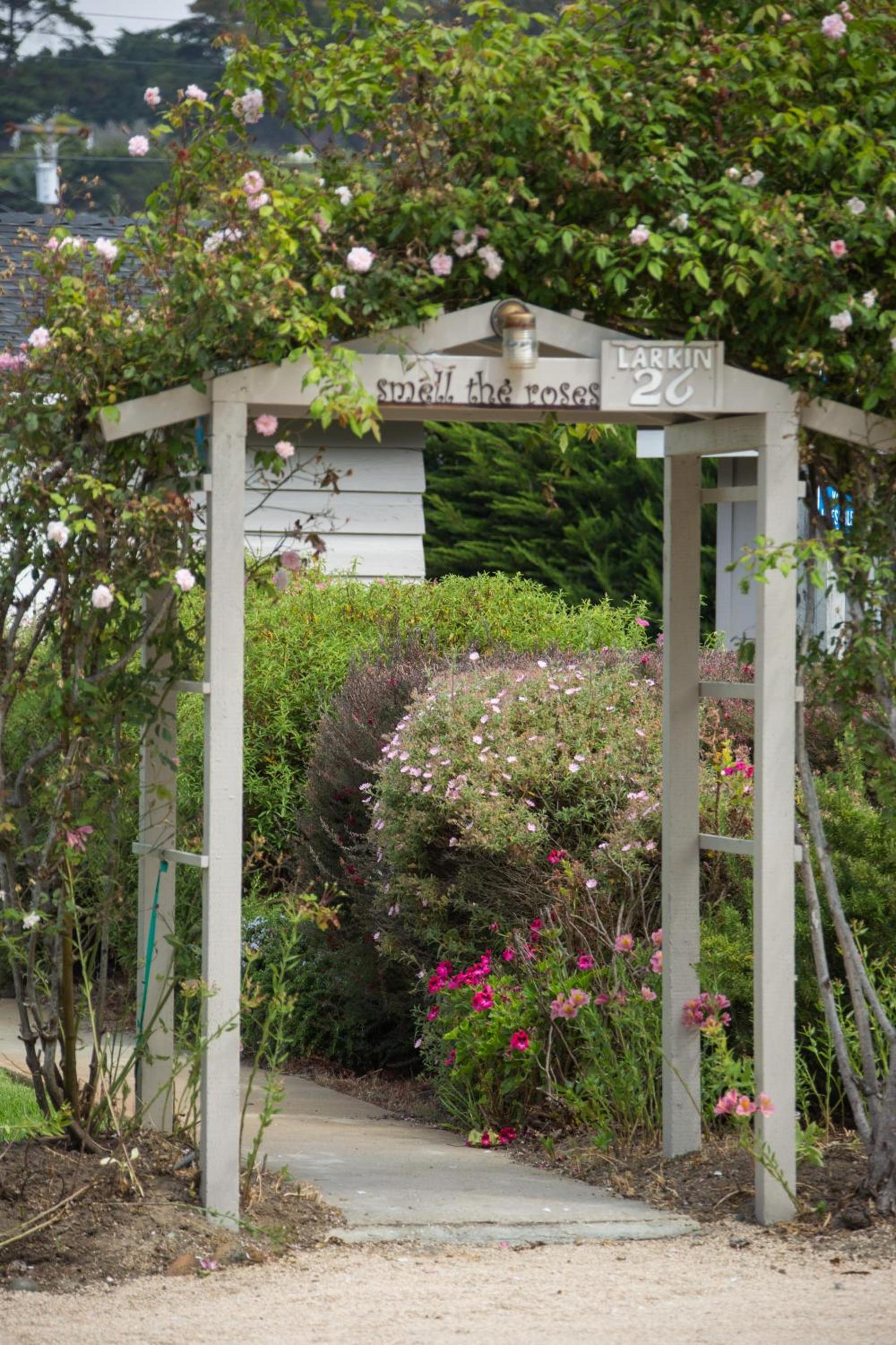 Carmel River Inn & Cottages photo 69