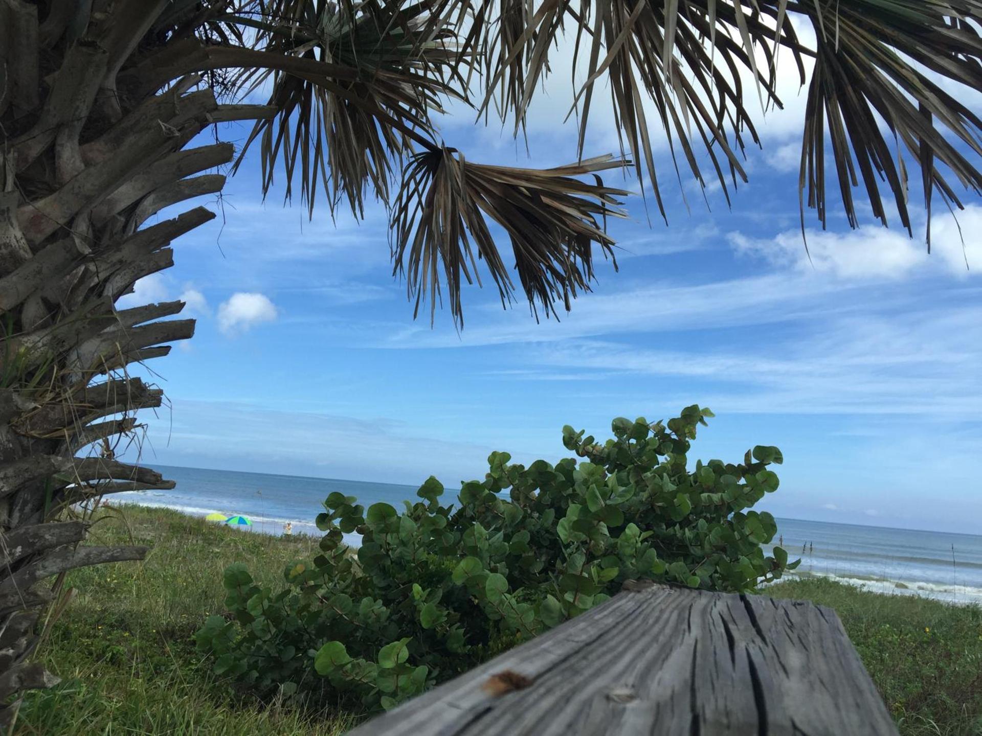Coral Sands Inn photo 15