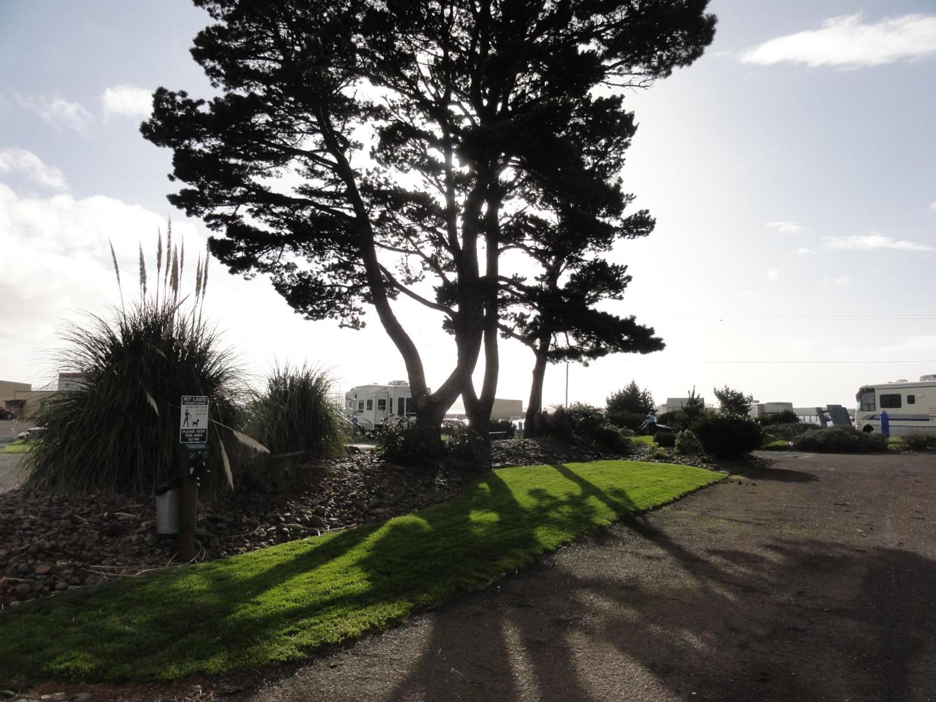 Harborview Inn & RV Park photo 32