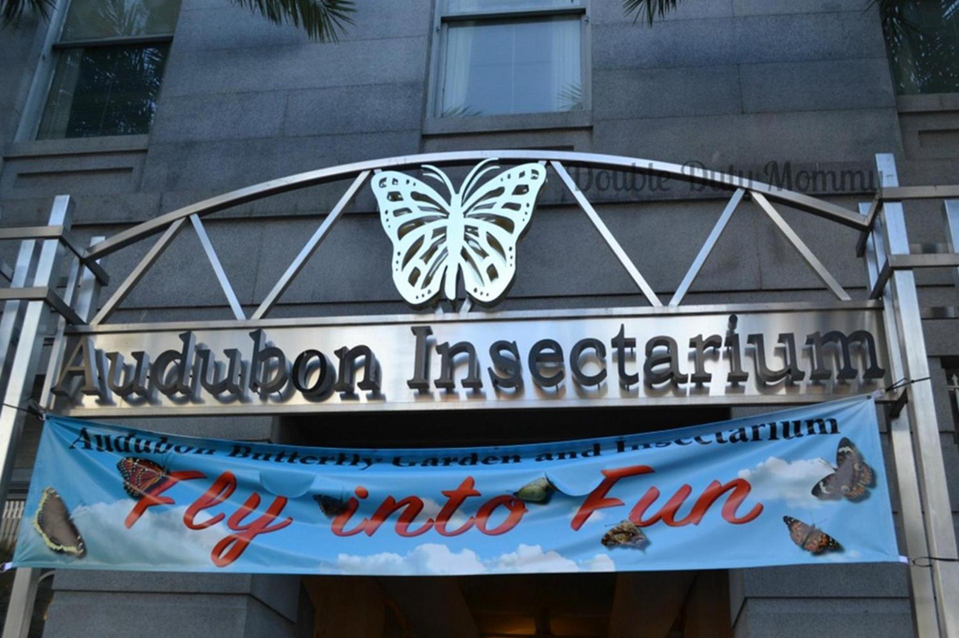 La Galerie French Quarter Hotel photo 31
