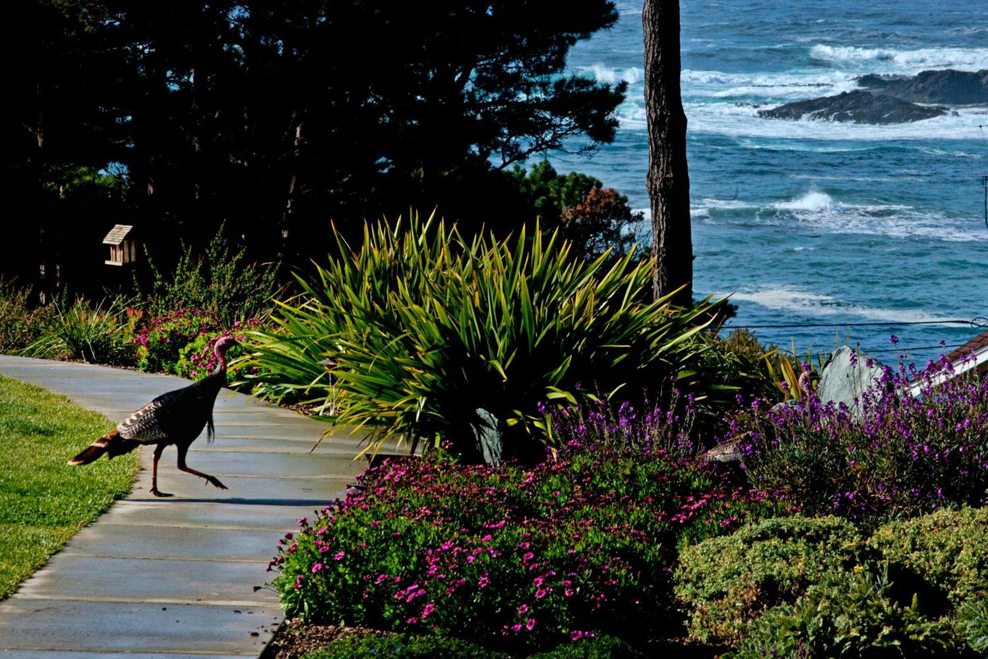 Cottages at Little River Cove photo 24