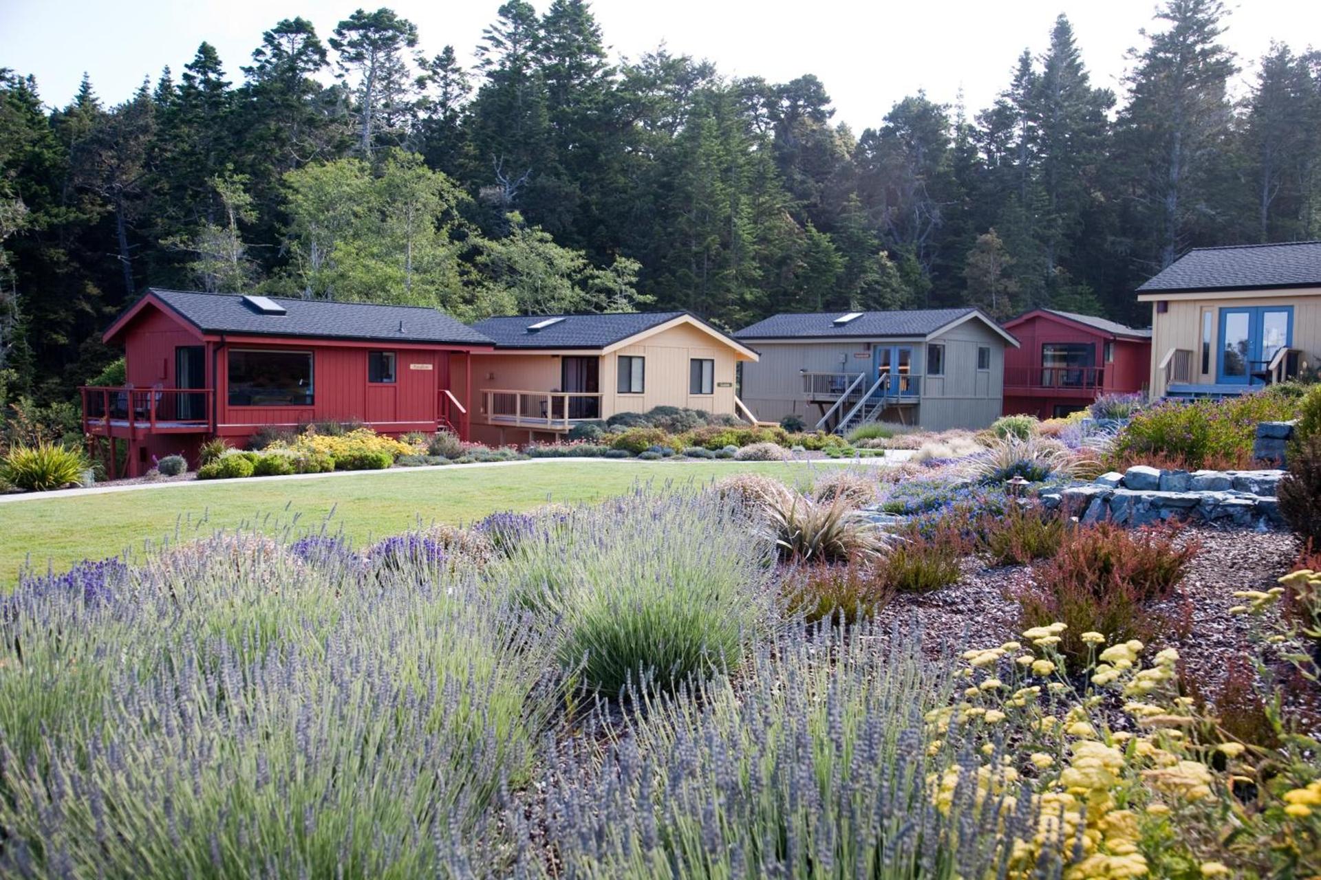 Cottages at Little River Cove photo 38