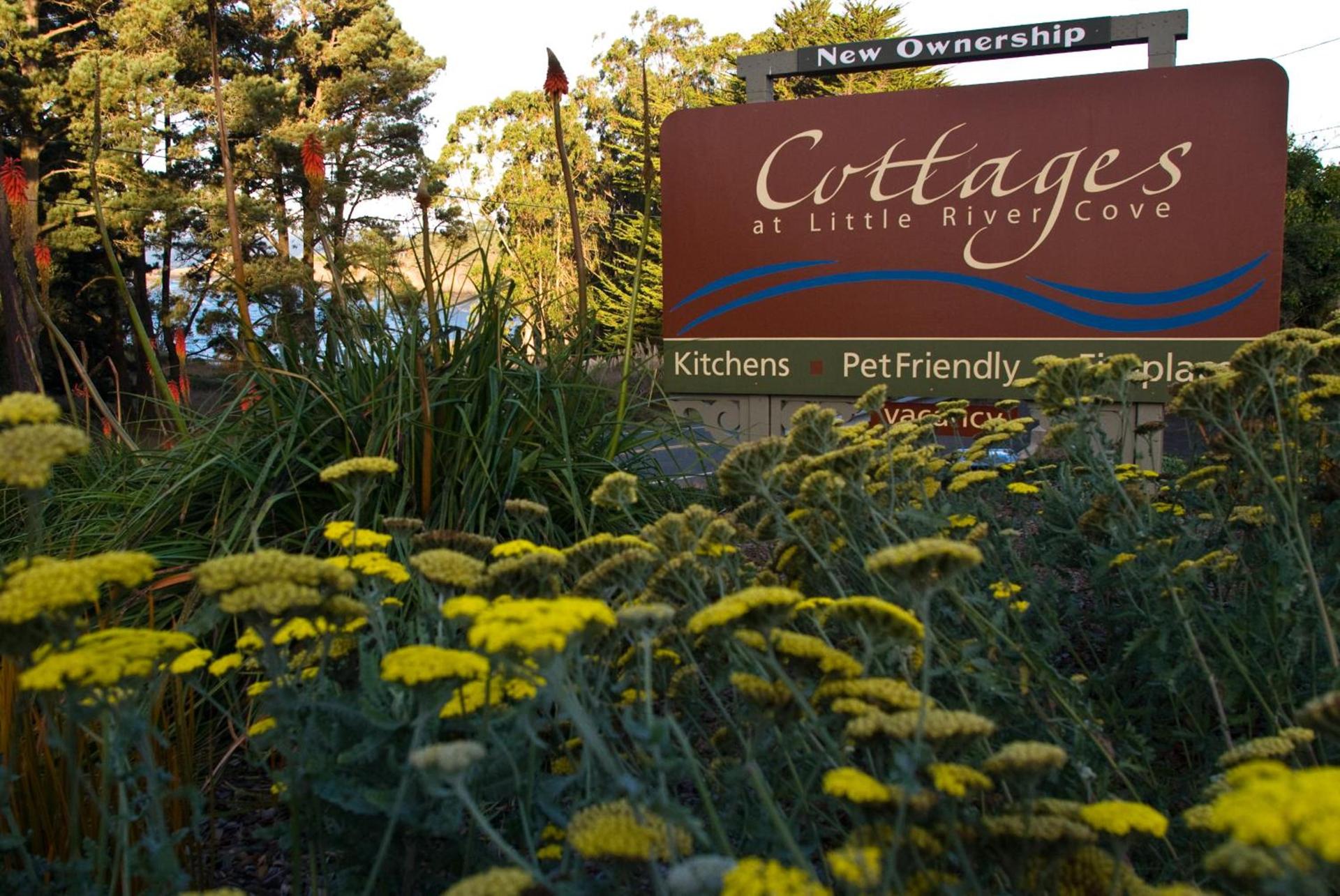 Cottages at Little River Cove photo 60