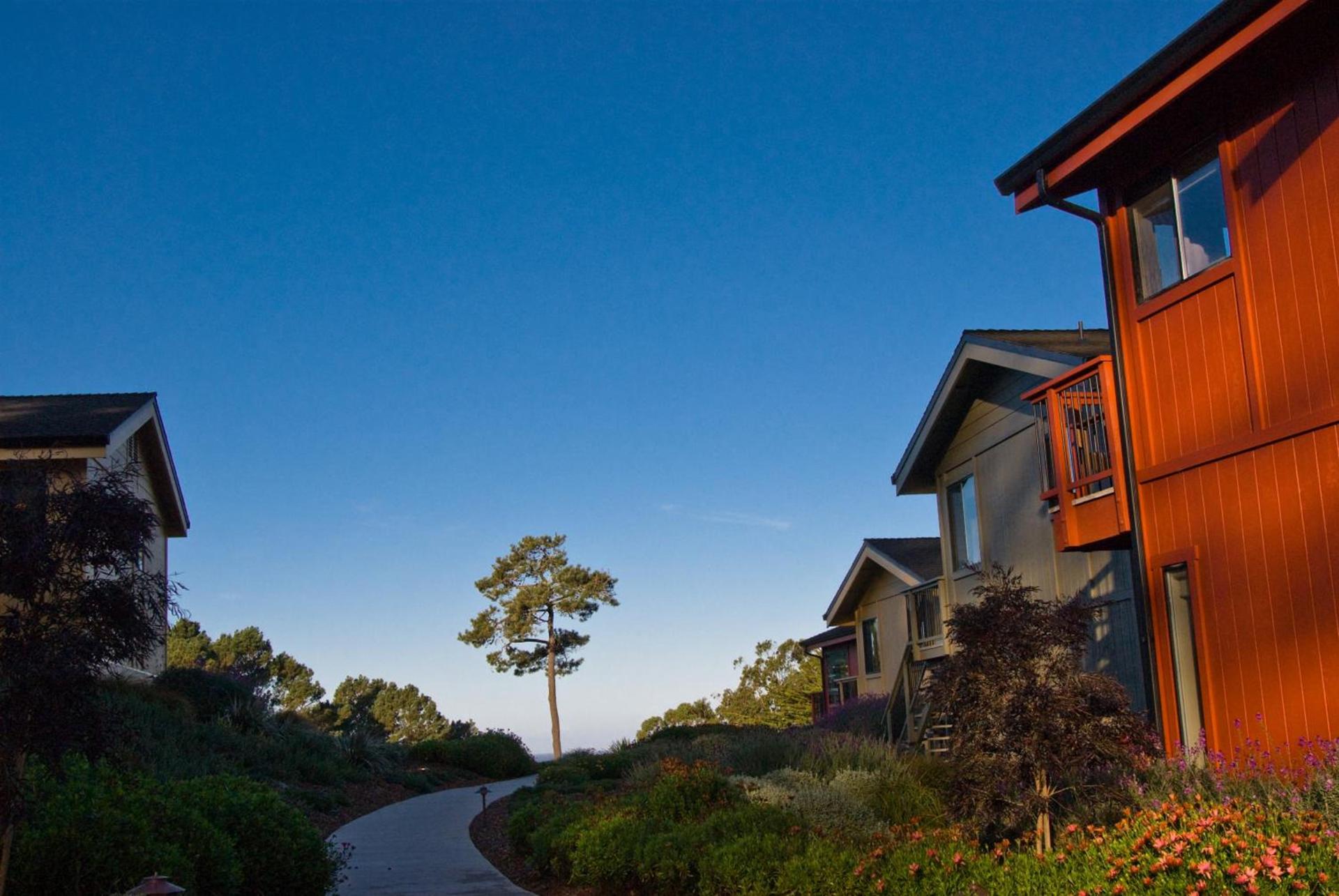 Cottages at Little River Cove photo 62