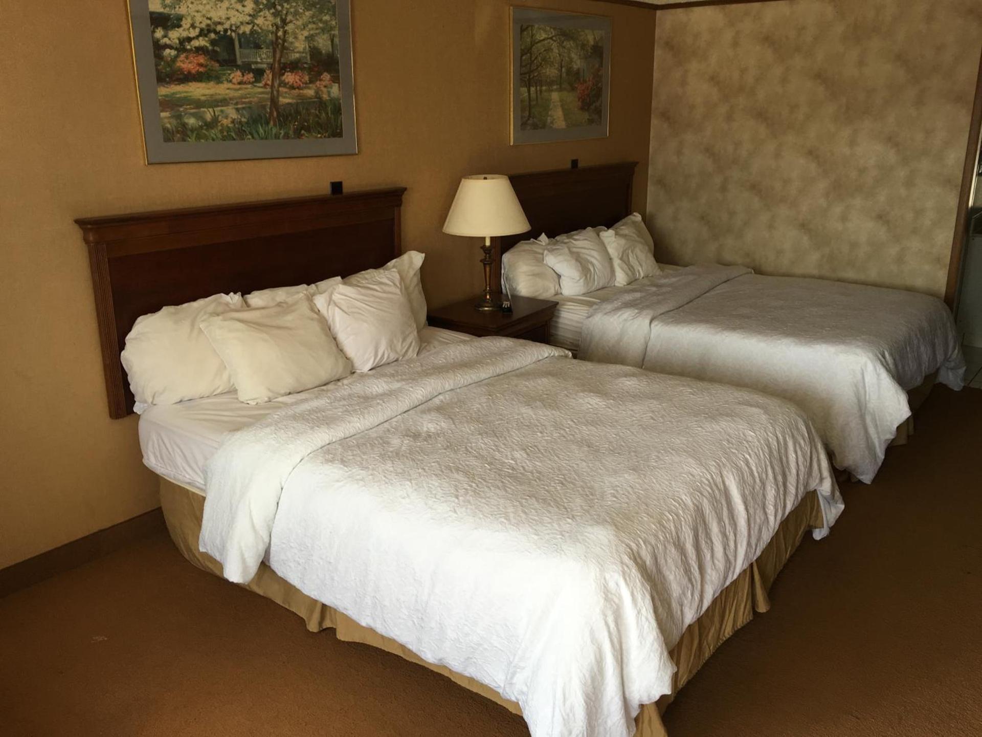 Travelodge by Wyndham Monroe photo 29