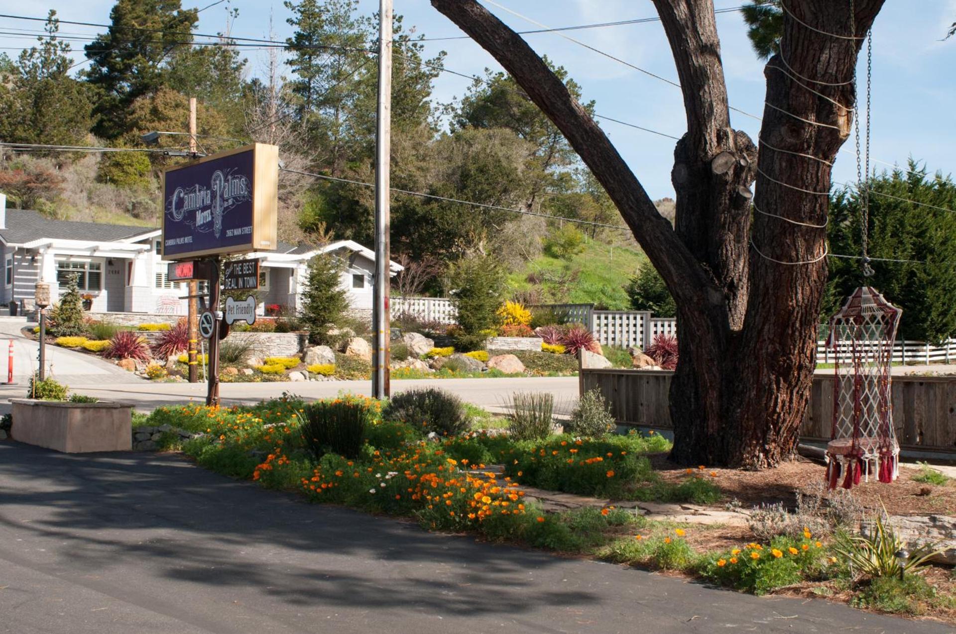 Cambria Palms Motel photo 21