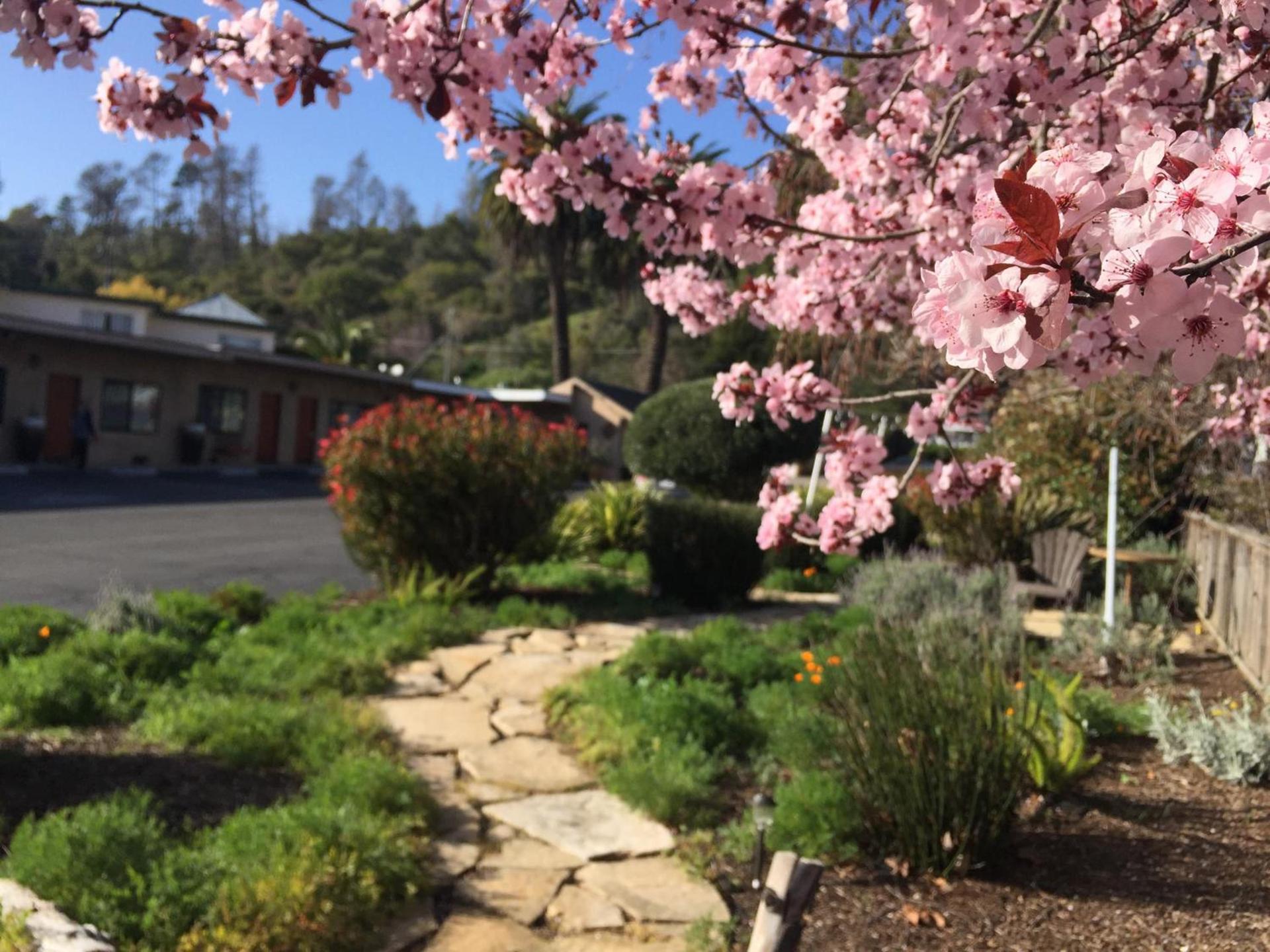 Cambria Palms Motel photo 11