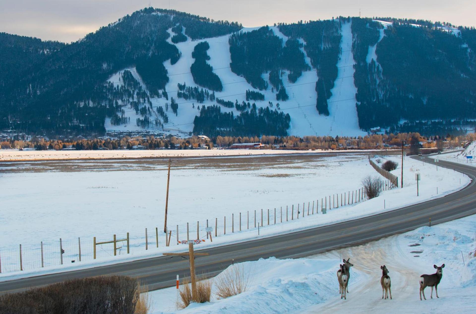 Elk Refuge Inn photo 23