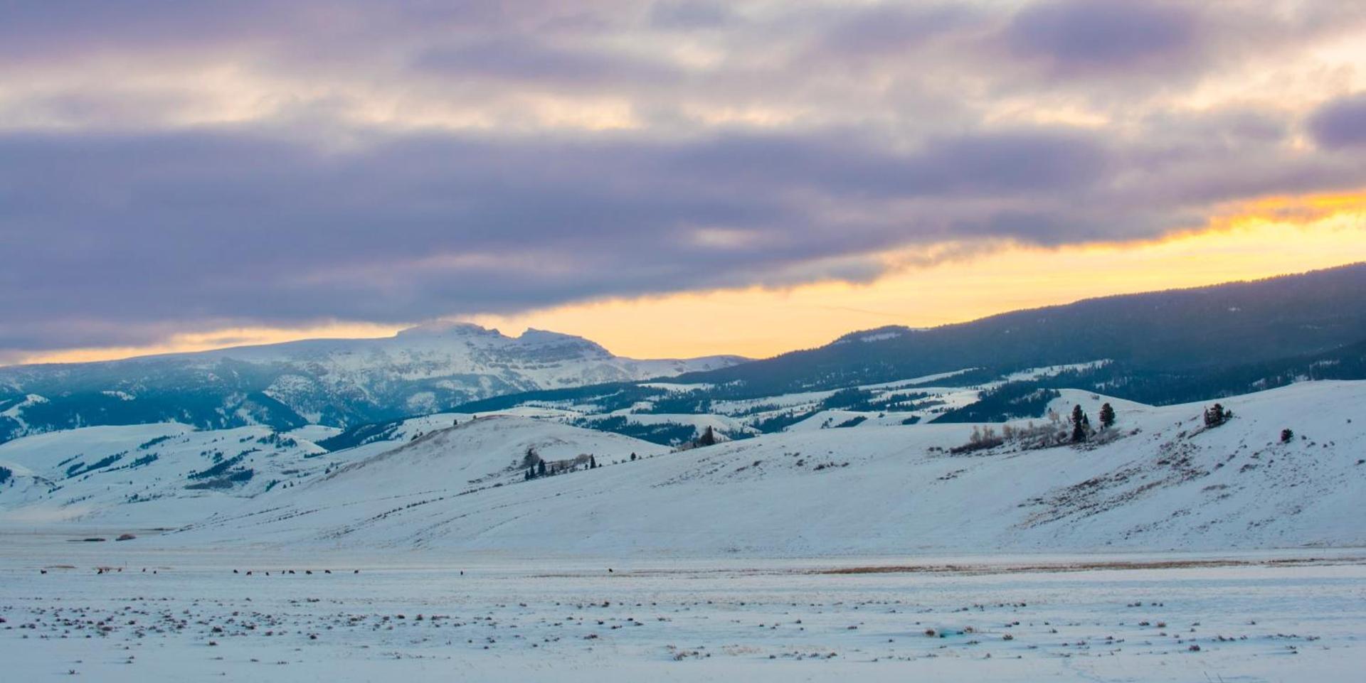 Elk Refuge Inn photo 19