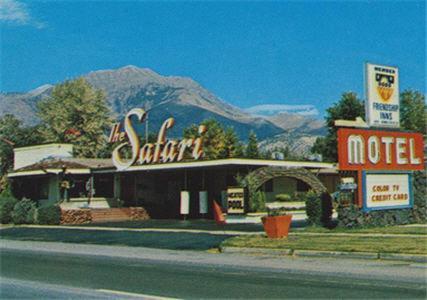 Safari Motel photo 3