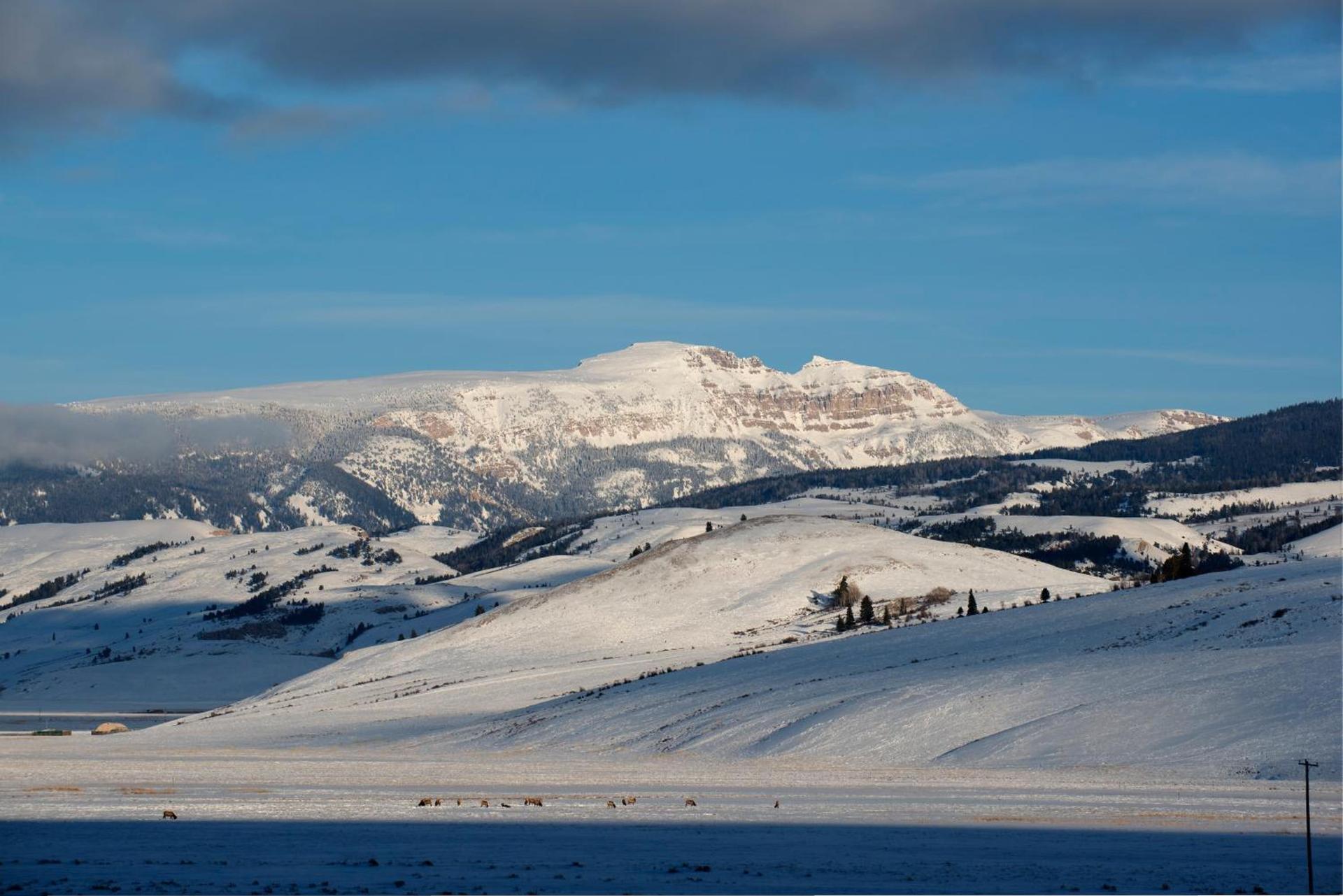 Elk Refuge Inn photo 17
