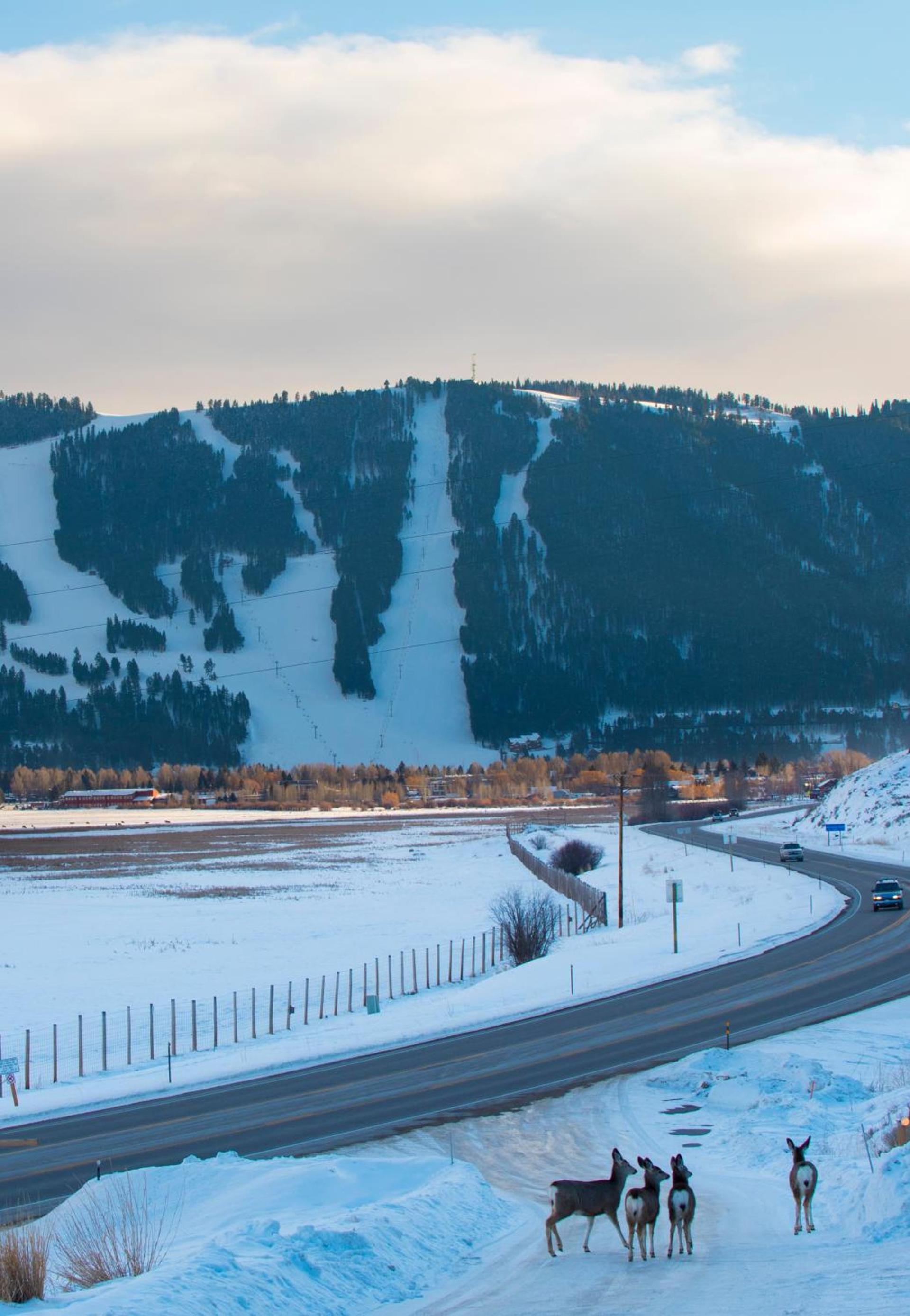 Elk Refuge Inn photo 27