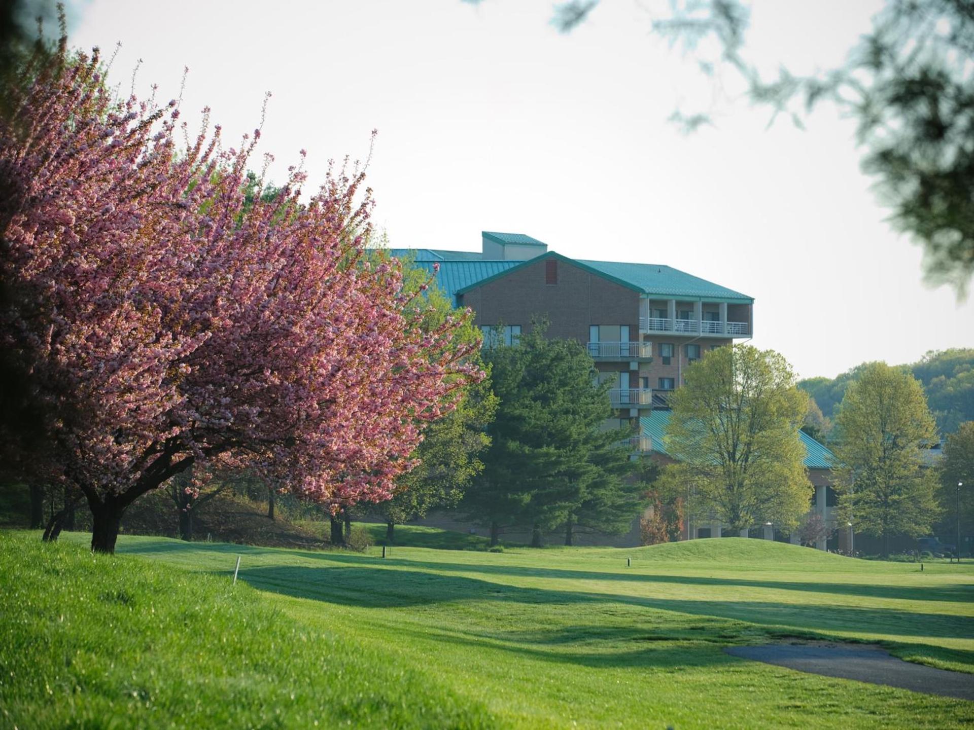 Turf Valley Resort photo 4