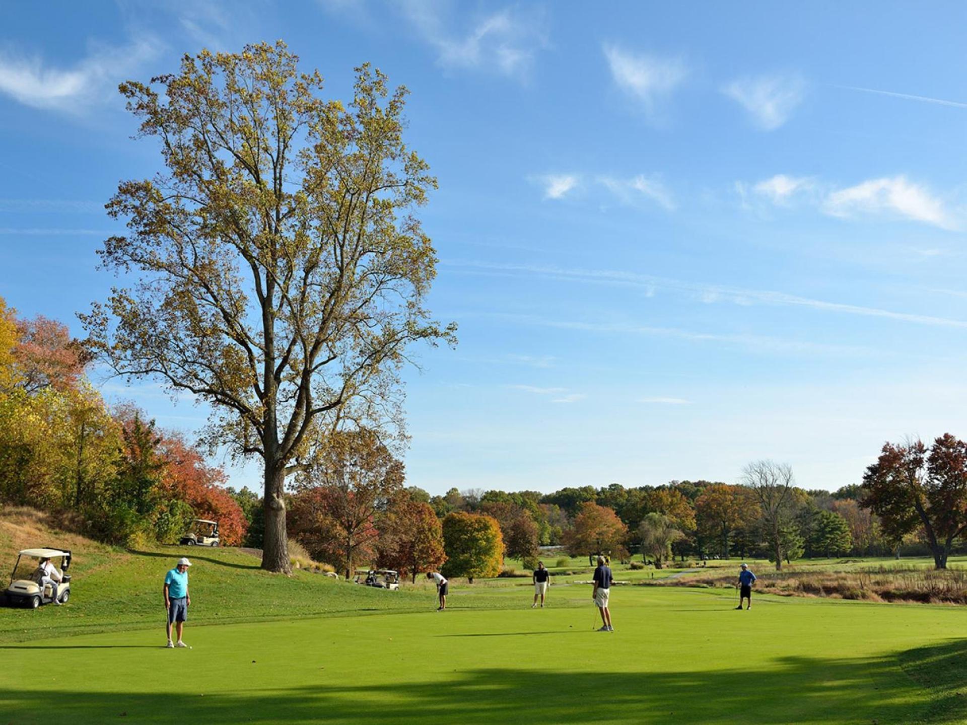 Turf Valley Resort photo 33