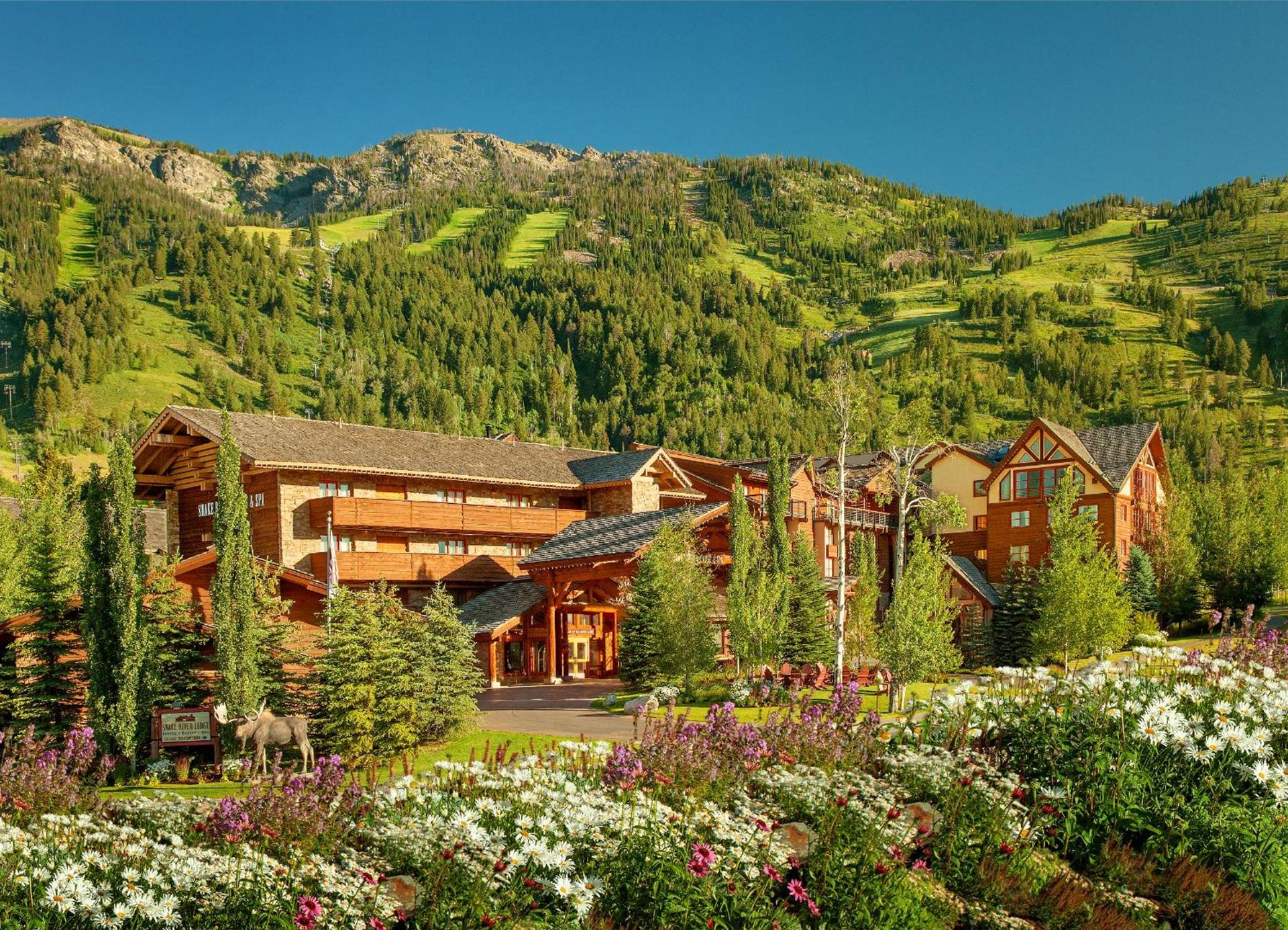 Faraway Jackson Hole photo 6