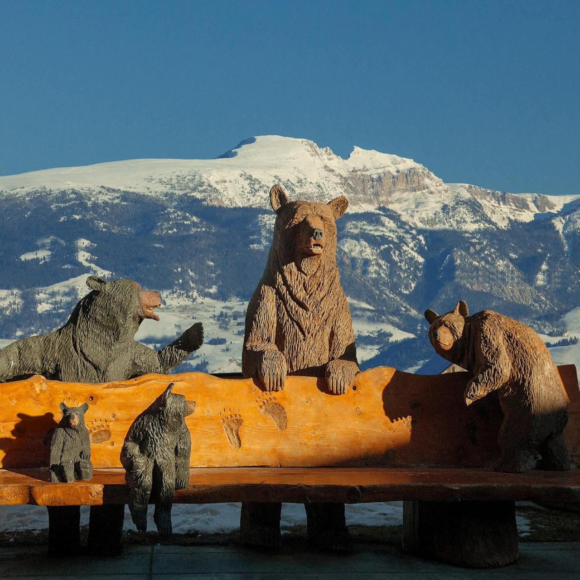 Faraway Jackson Hole photo 7