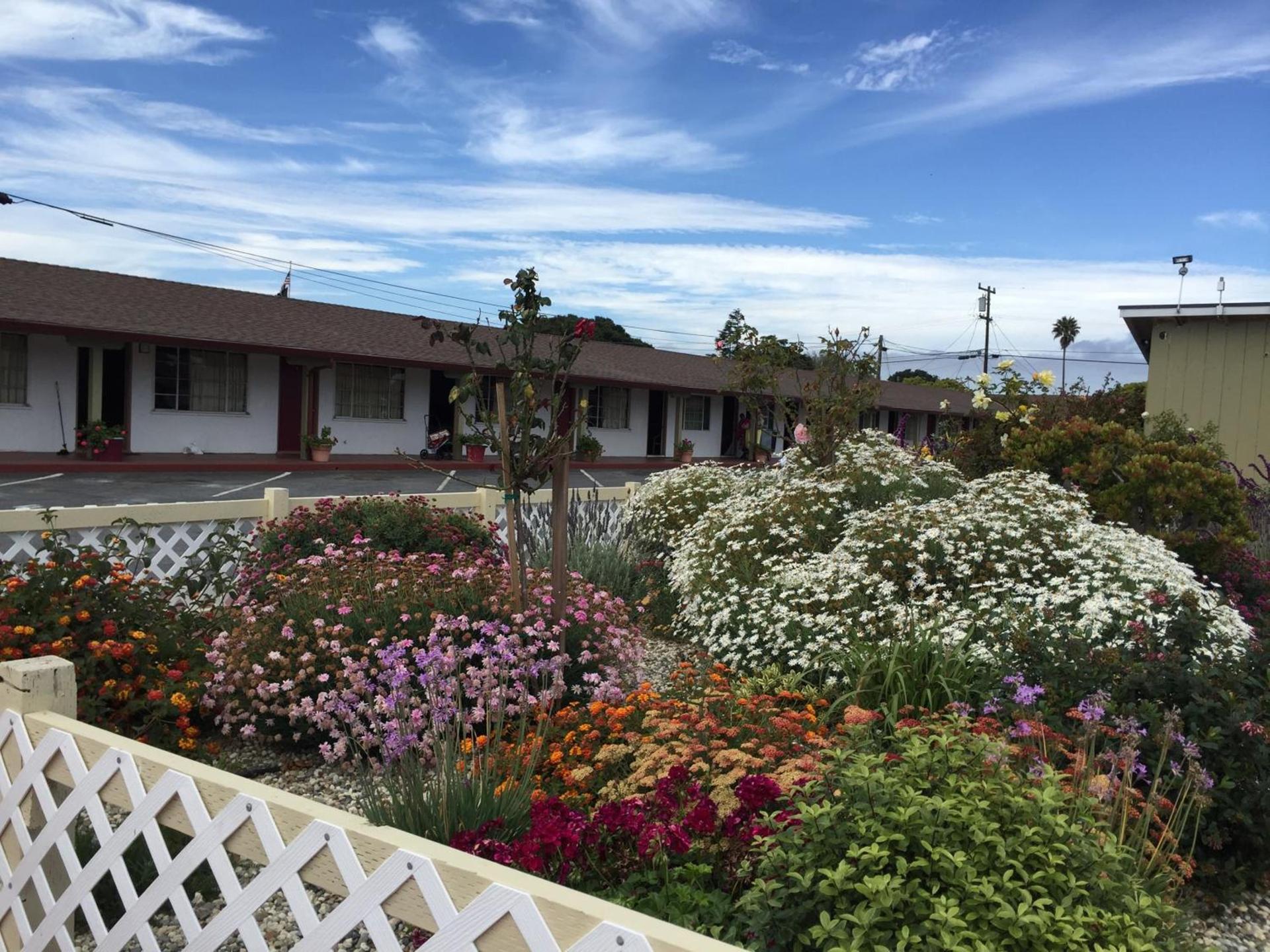 Wagon Wheel Motel photo 26