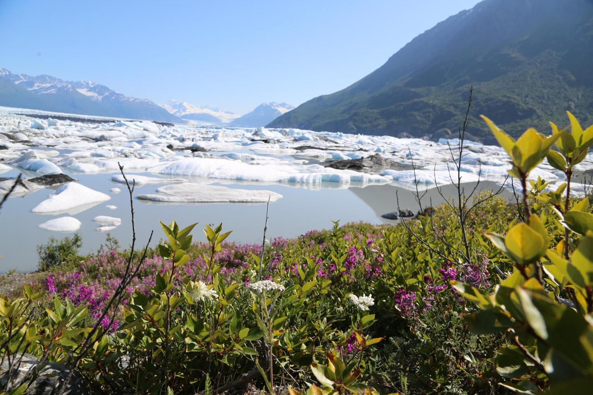 Alaska Glacier Lodge photo 5