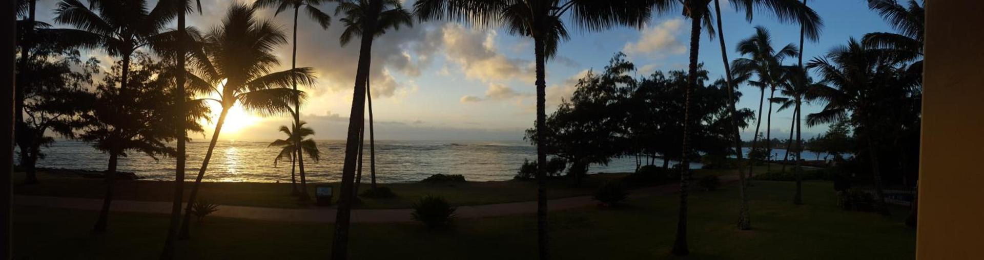Hotel Coral Reef photo 21