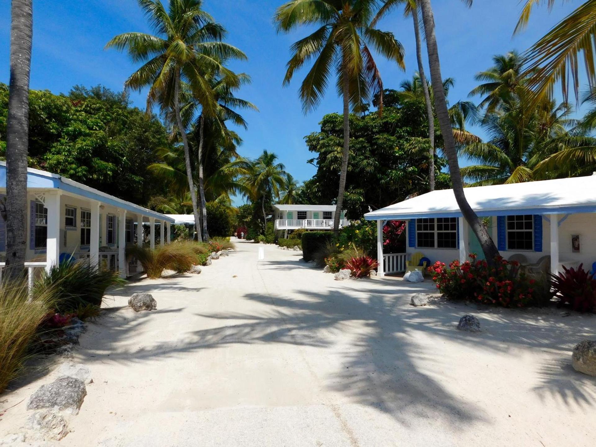 Pines & Palms Resort photo 28