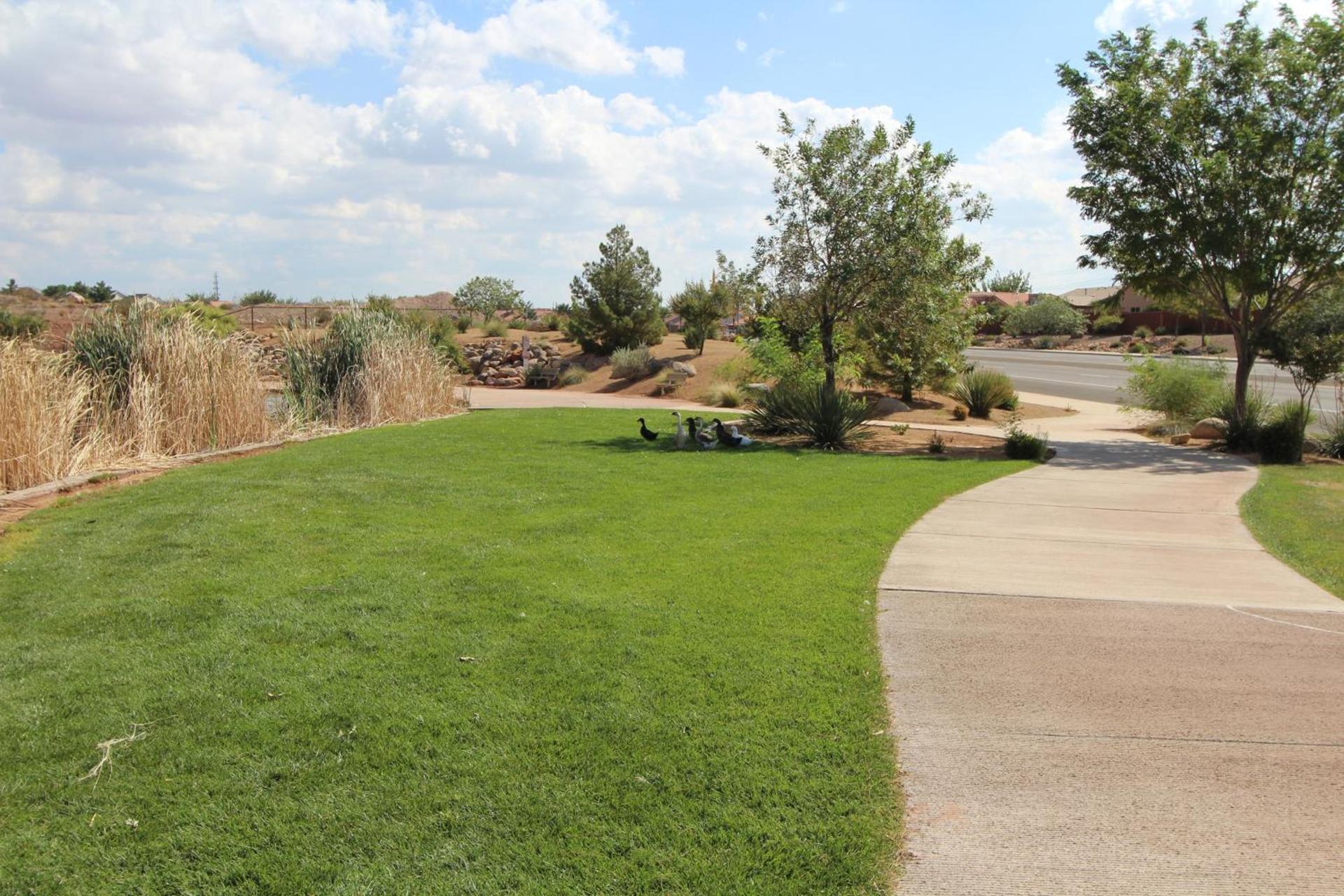 Canyon Villas at Coral Ridge photo 20