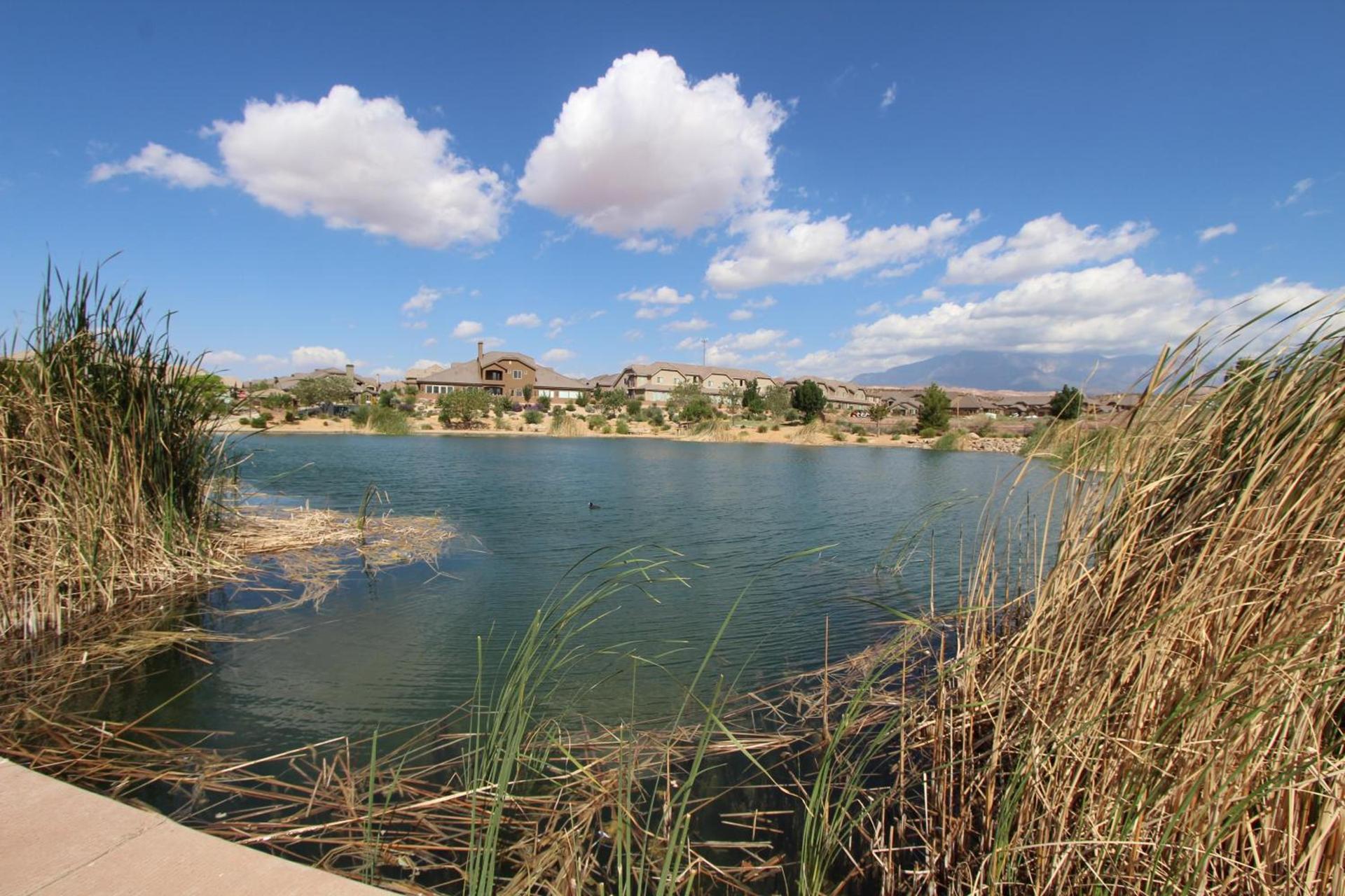 Canyon Villas at Coral Ridge photo 19