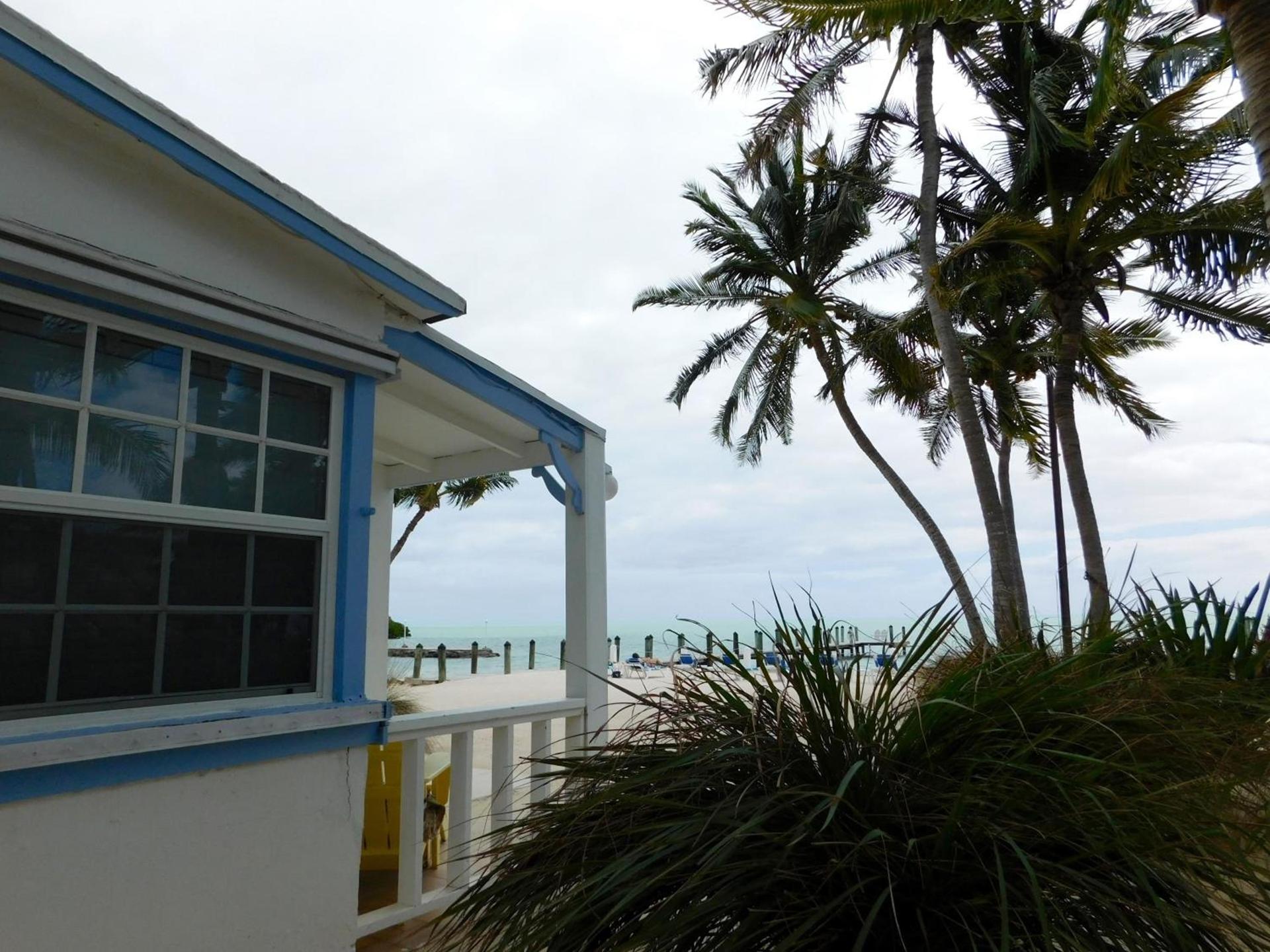 Pines & Palms Resort photo 29