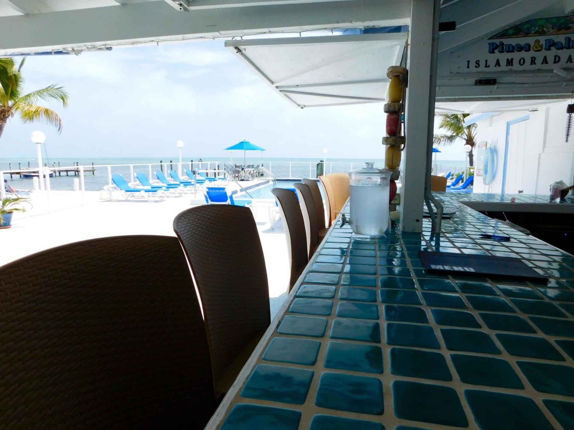 Pines & Palms Resort photo 33
