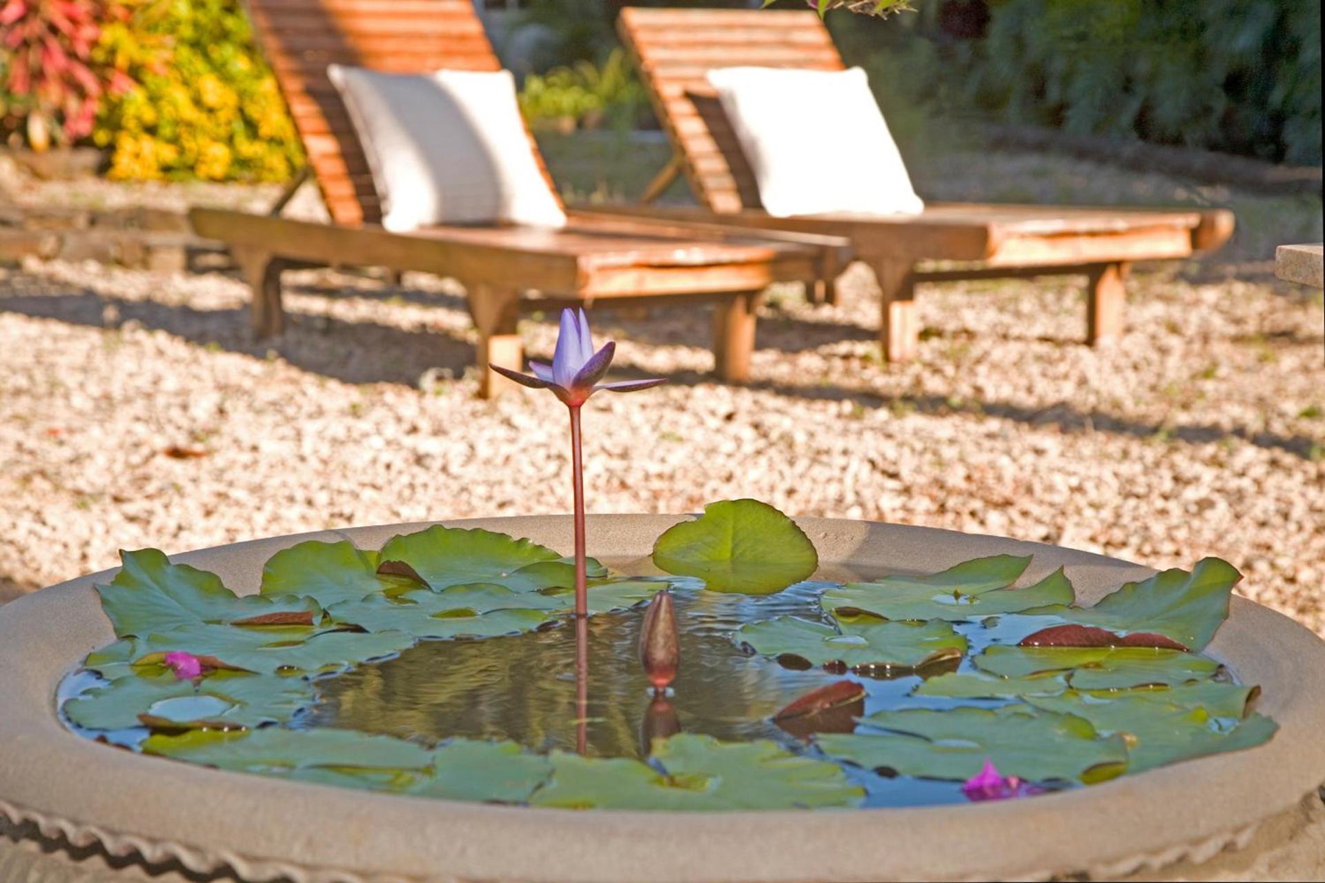 Fern Grotto Inn photo 22