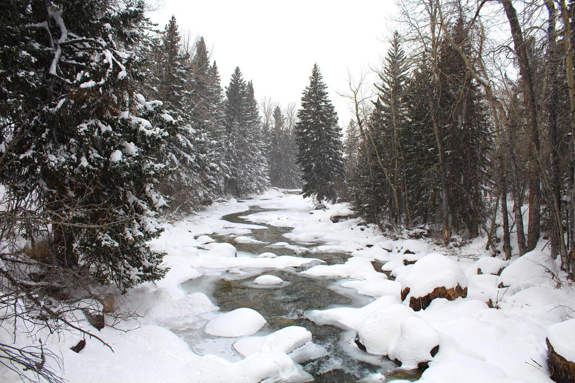 Rock Creek Resort photo 4