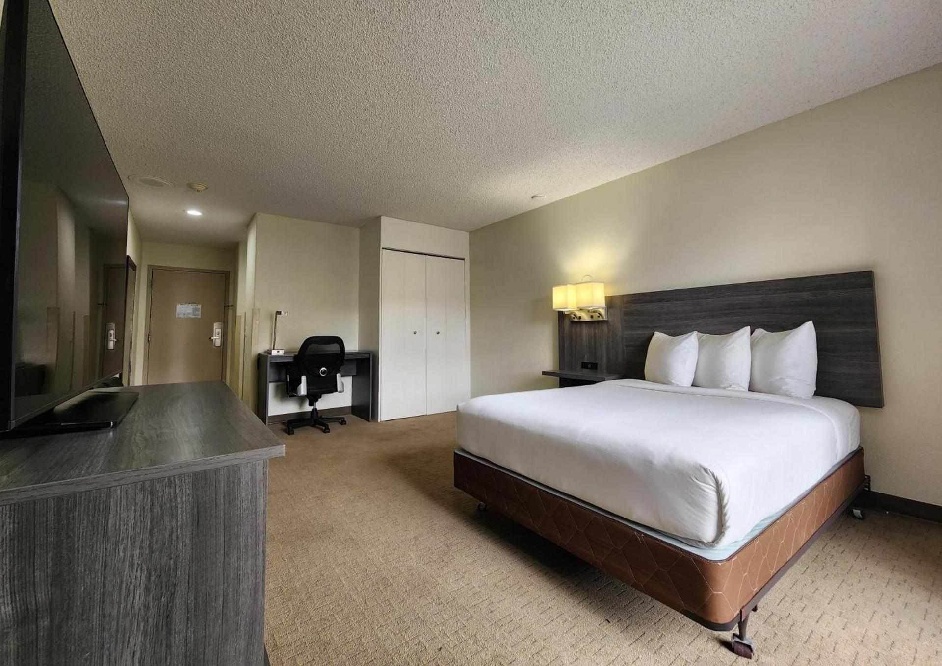 Las Palmas Airport Inn photo 25