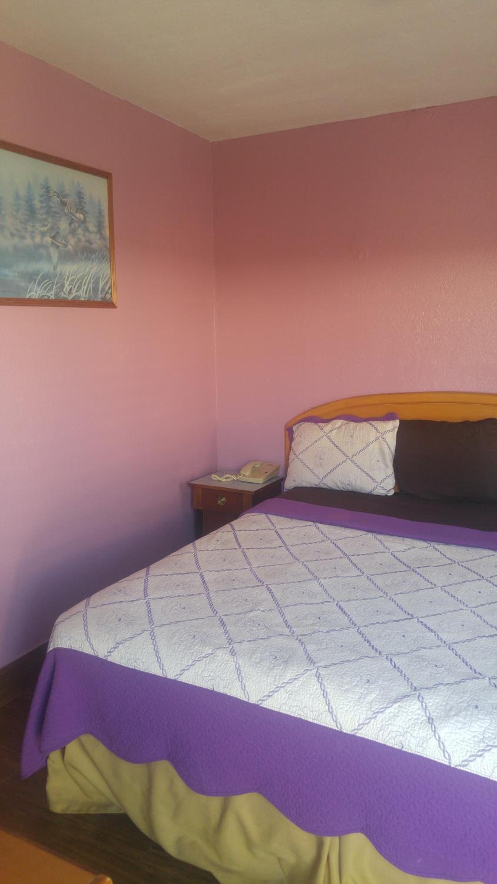 Travel Eagle Inn Motel photo 31