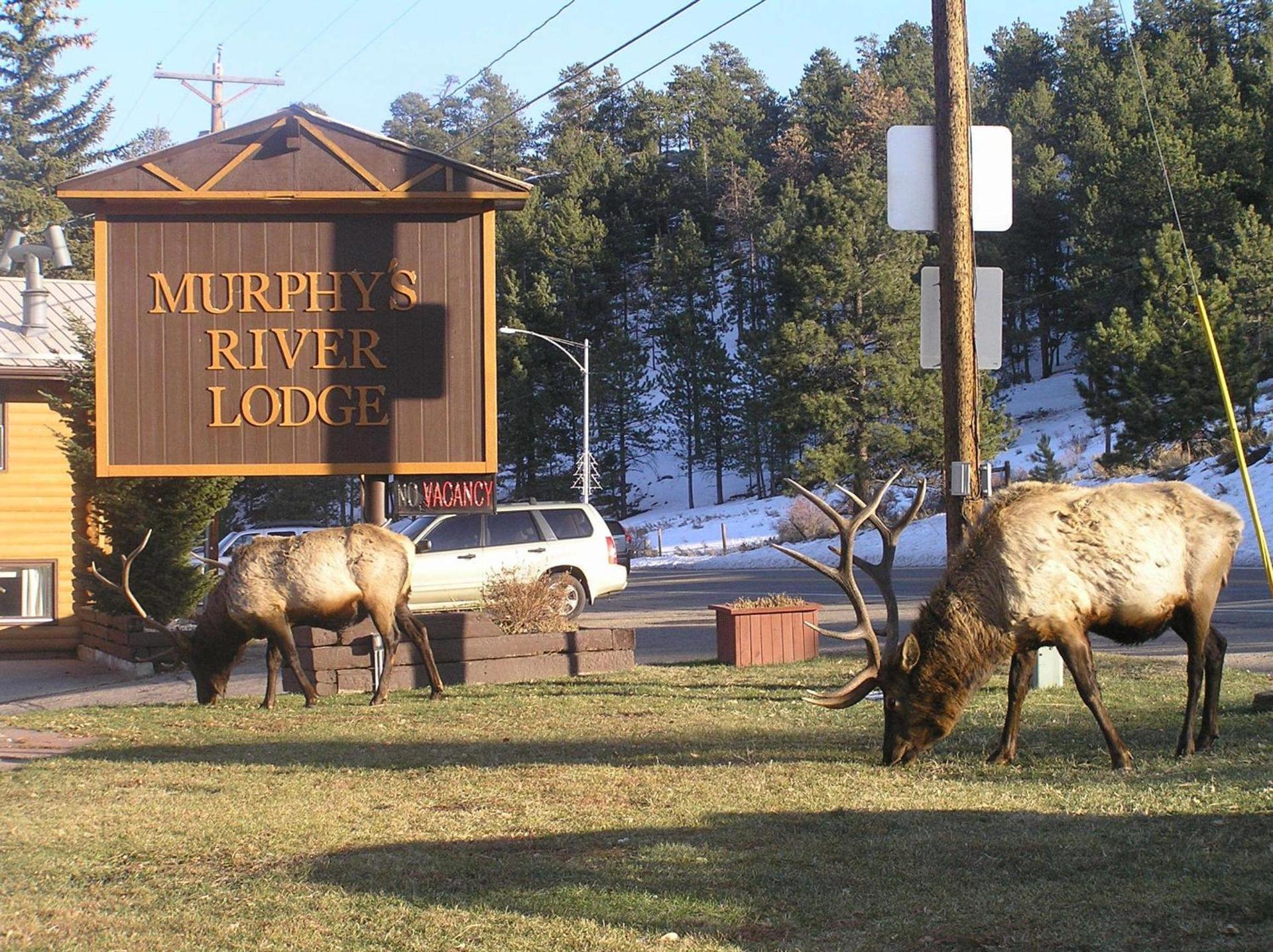 Murphy's River Lodge photo 9