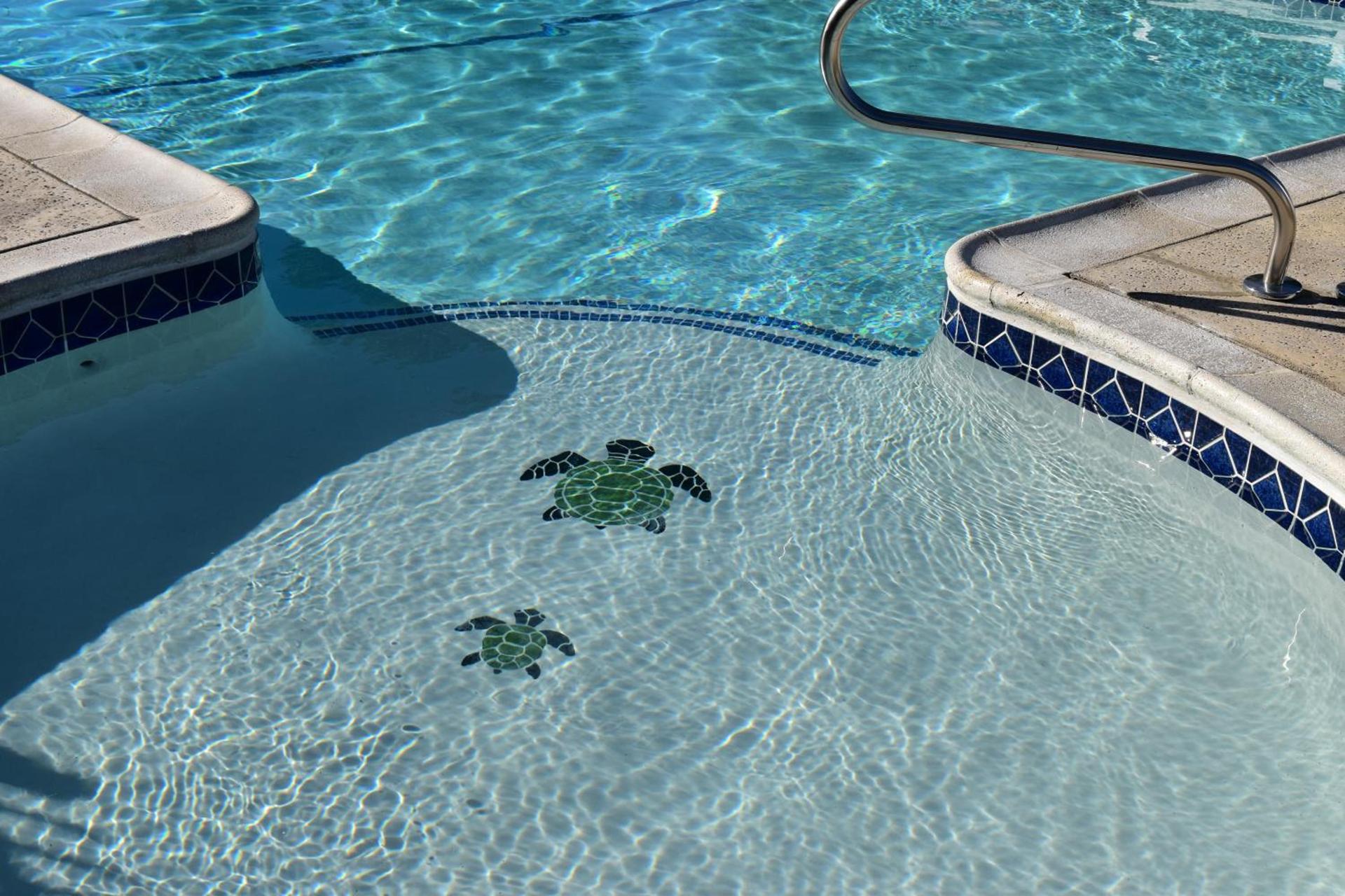 Travelodge by Wyndham Red Bluff South of Redding photo 50