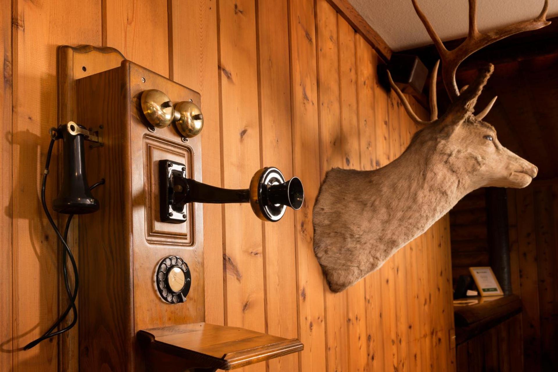 Ayres Lodge Alpine photo 15