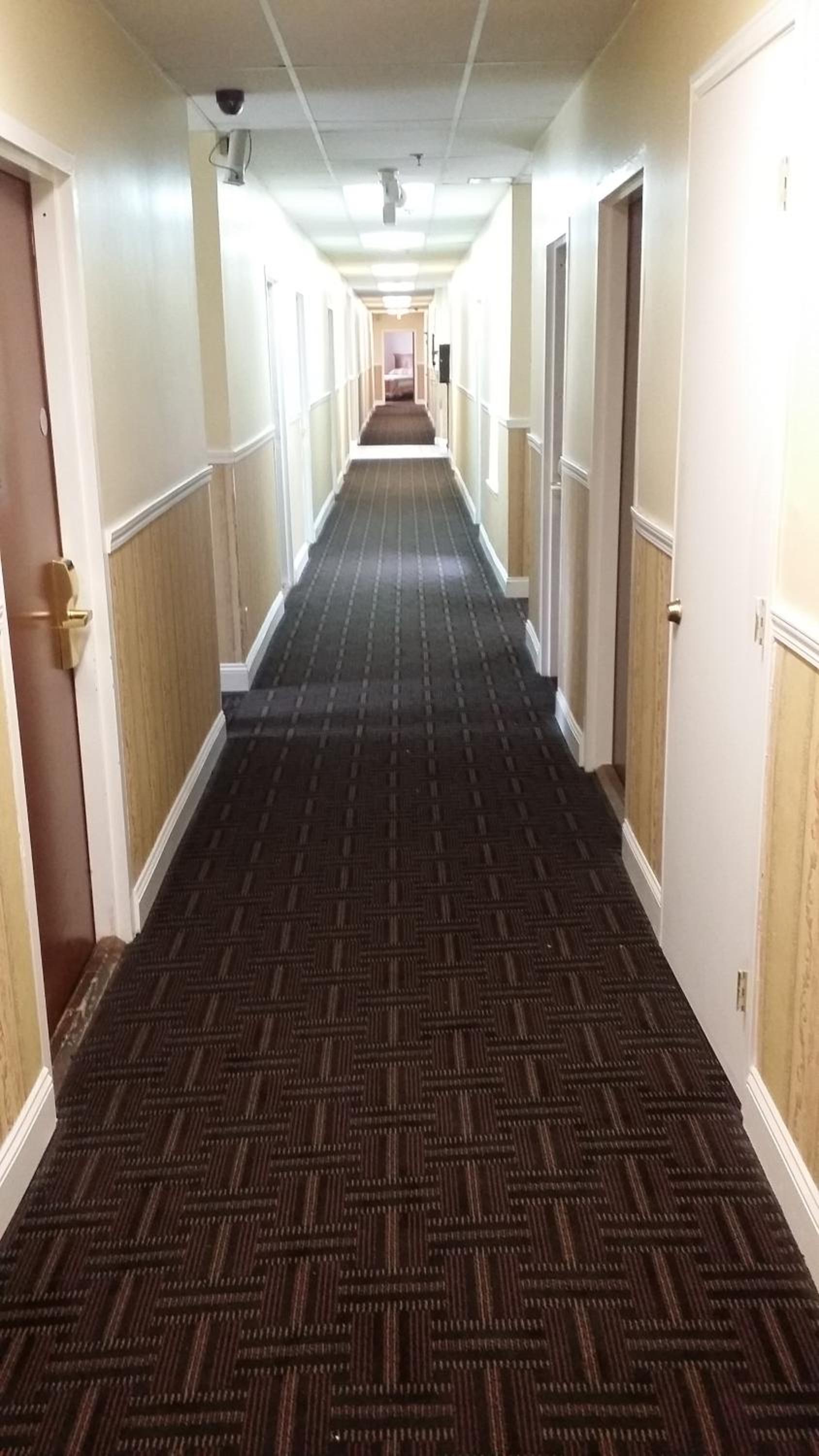 Europa Hotel photo 82