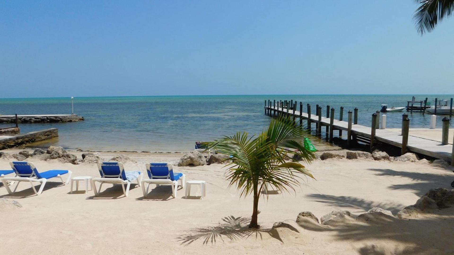 Pines & Palms Resort photo 14