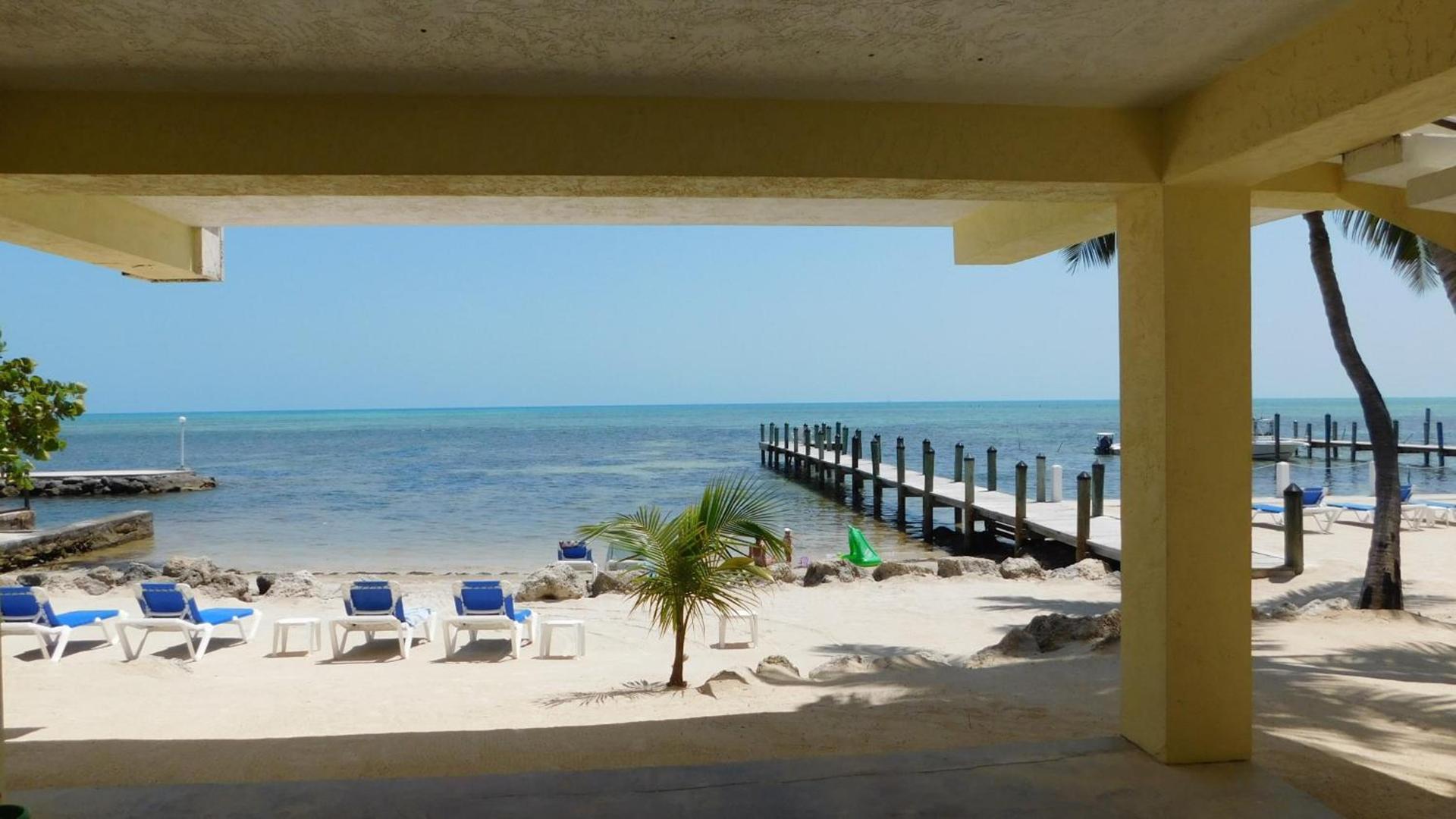 Pines & Palms Resort photo 44