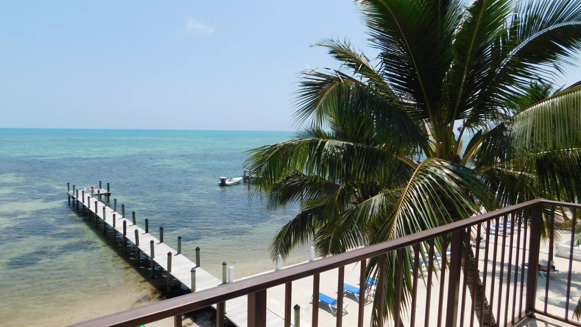 Pines & Palms Resort photo 50