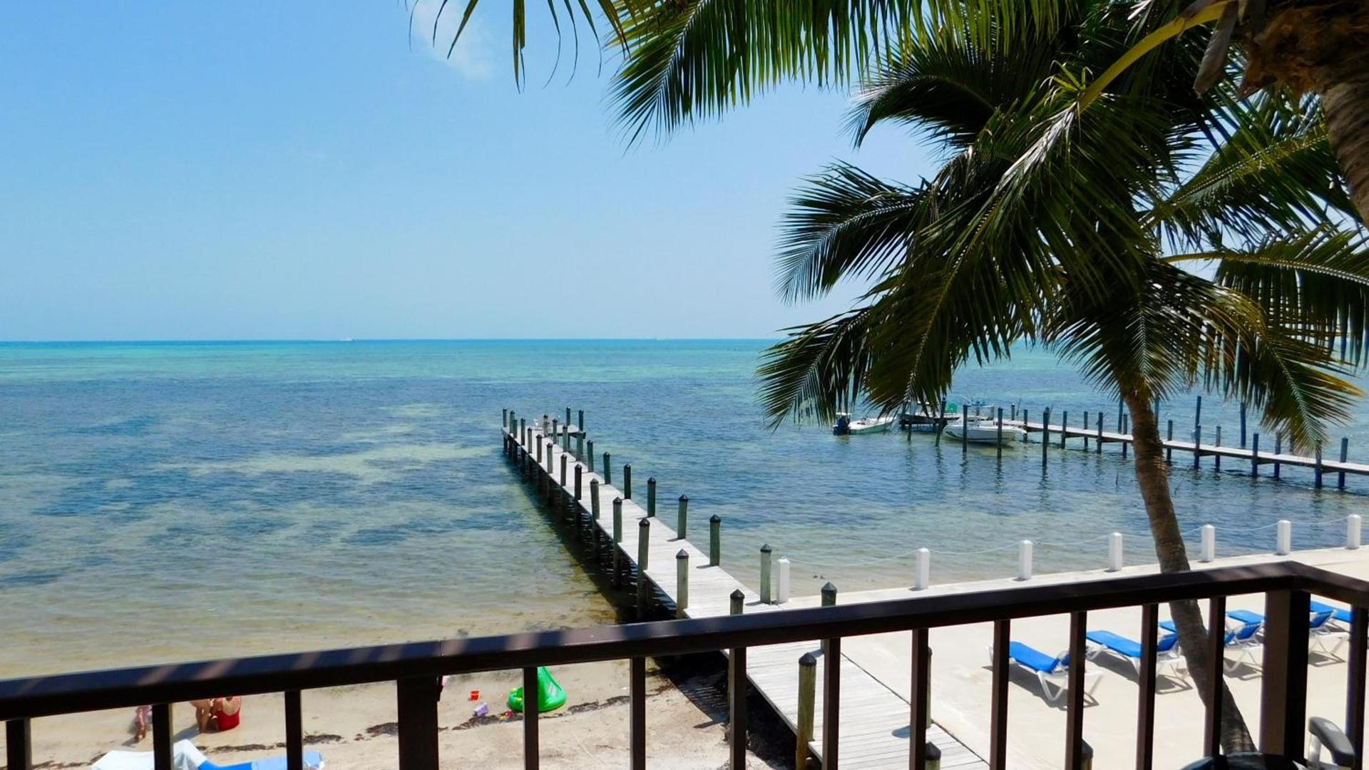 Pines & Palms Resort photo 55